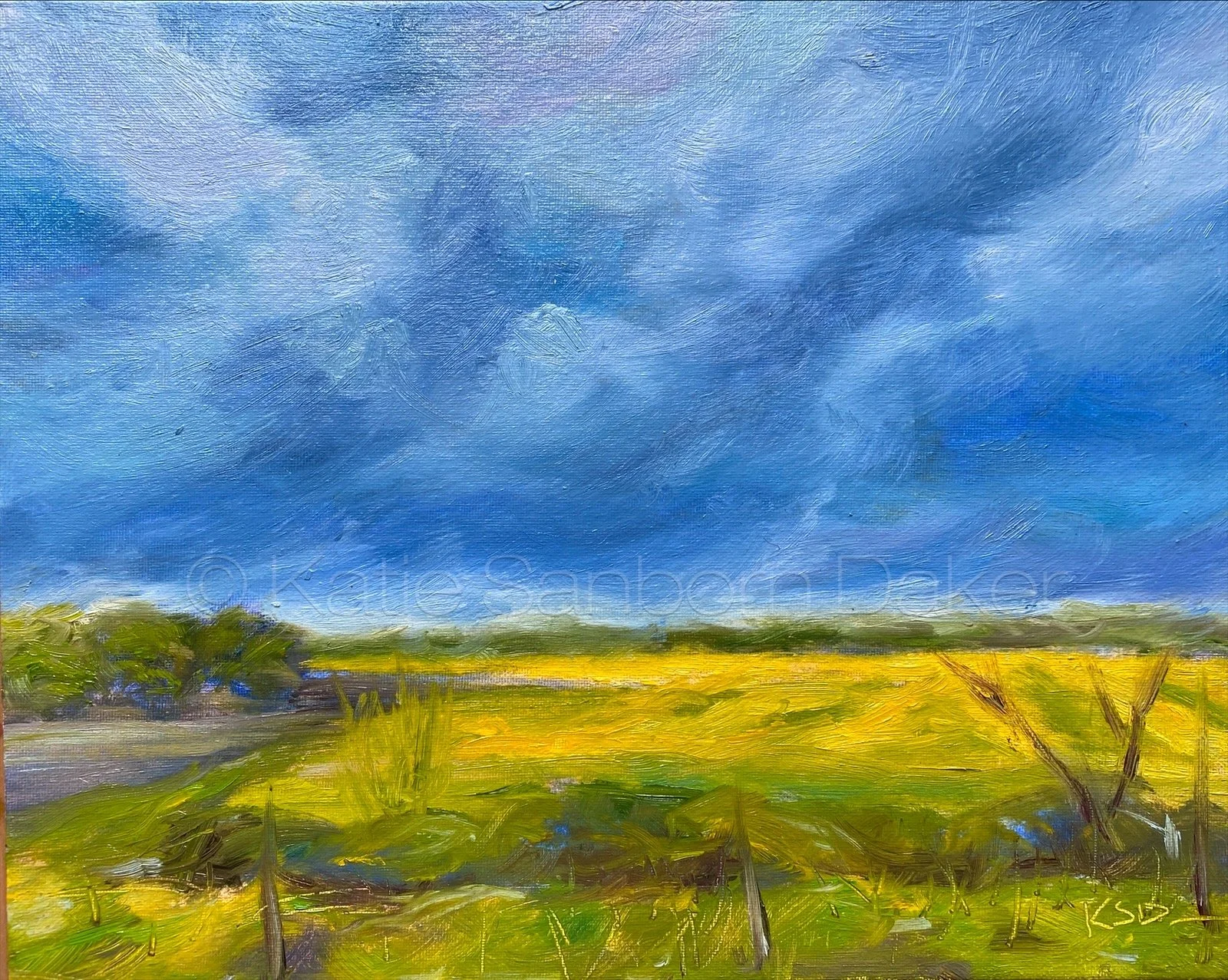 cotswold storm wm 2.JPG