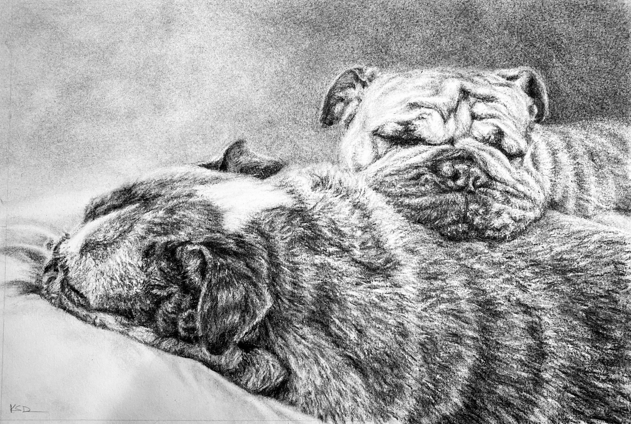 "Opal and Gemma" Commissioned Charcoal Drawing on Archival Paper, 14"x11"