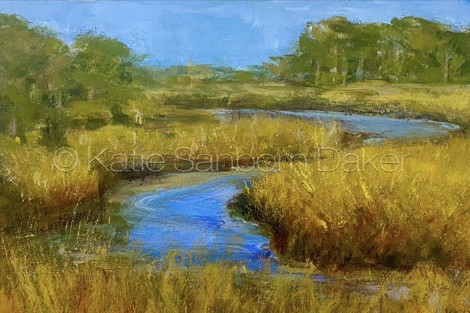 "S Curve": 12"x8" acrylic on paper/board 