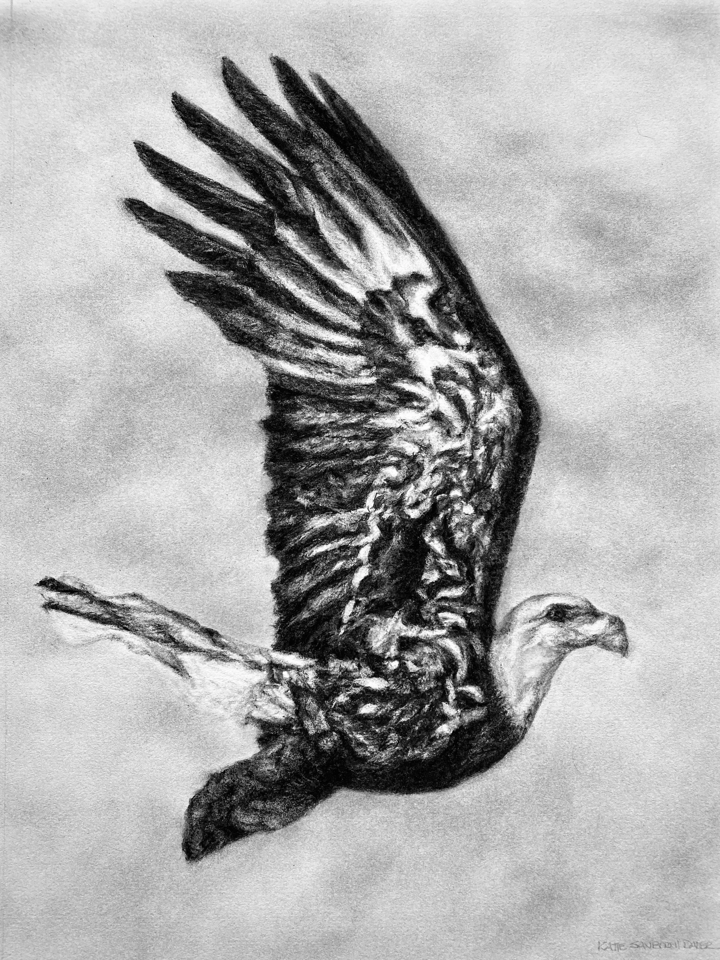 maria's eagle no wm.jpg