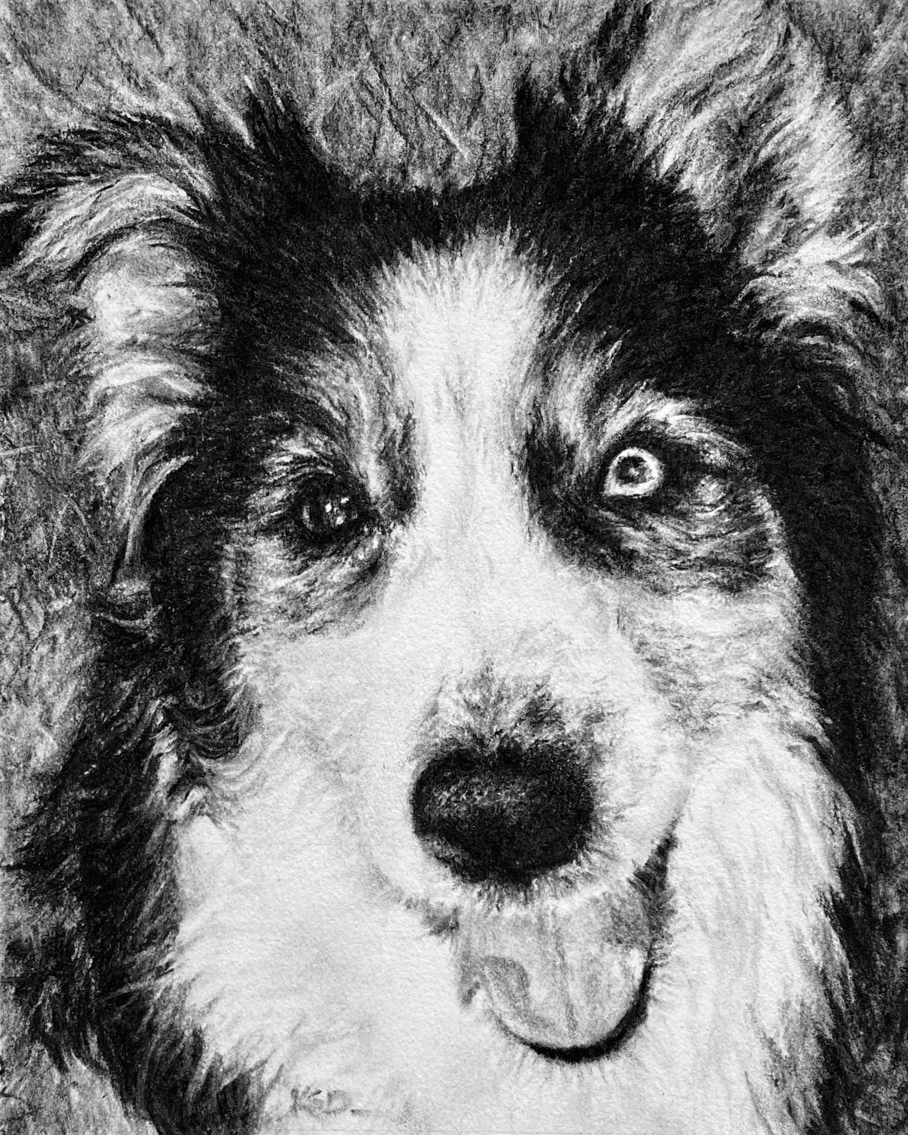 "Atticus" Commissioned charcoal drawing on archival paper, 9"x12" 