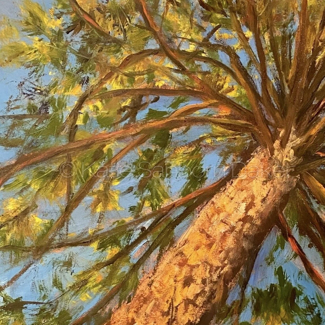 brightness of air detail wm 1.JPG