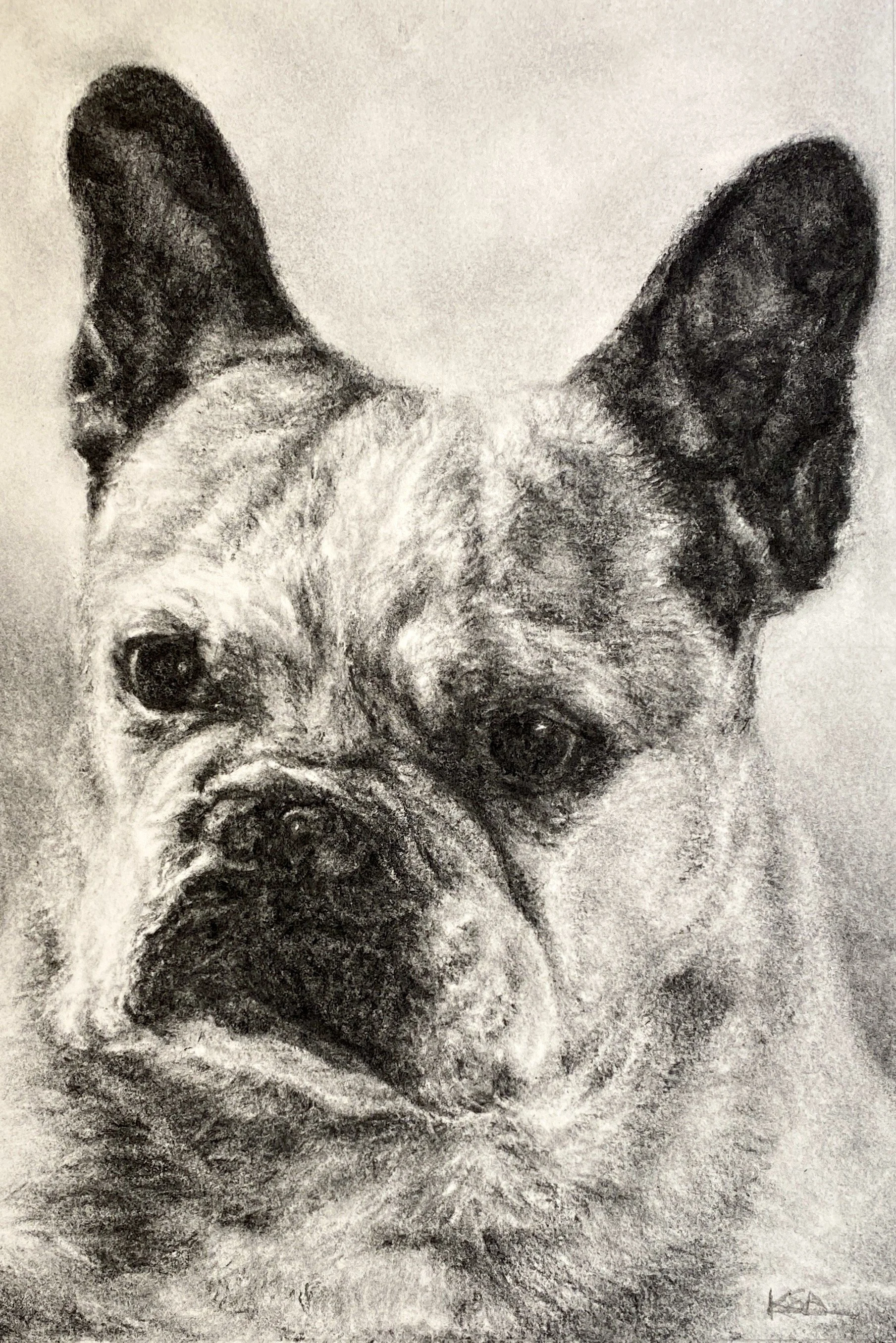 "Remy" Commissioned Charcoal drawing on Archival Paper, 9"x12"