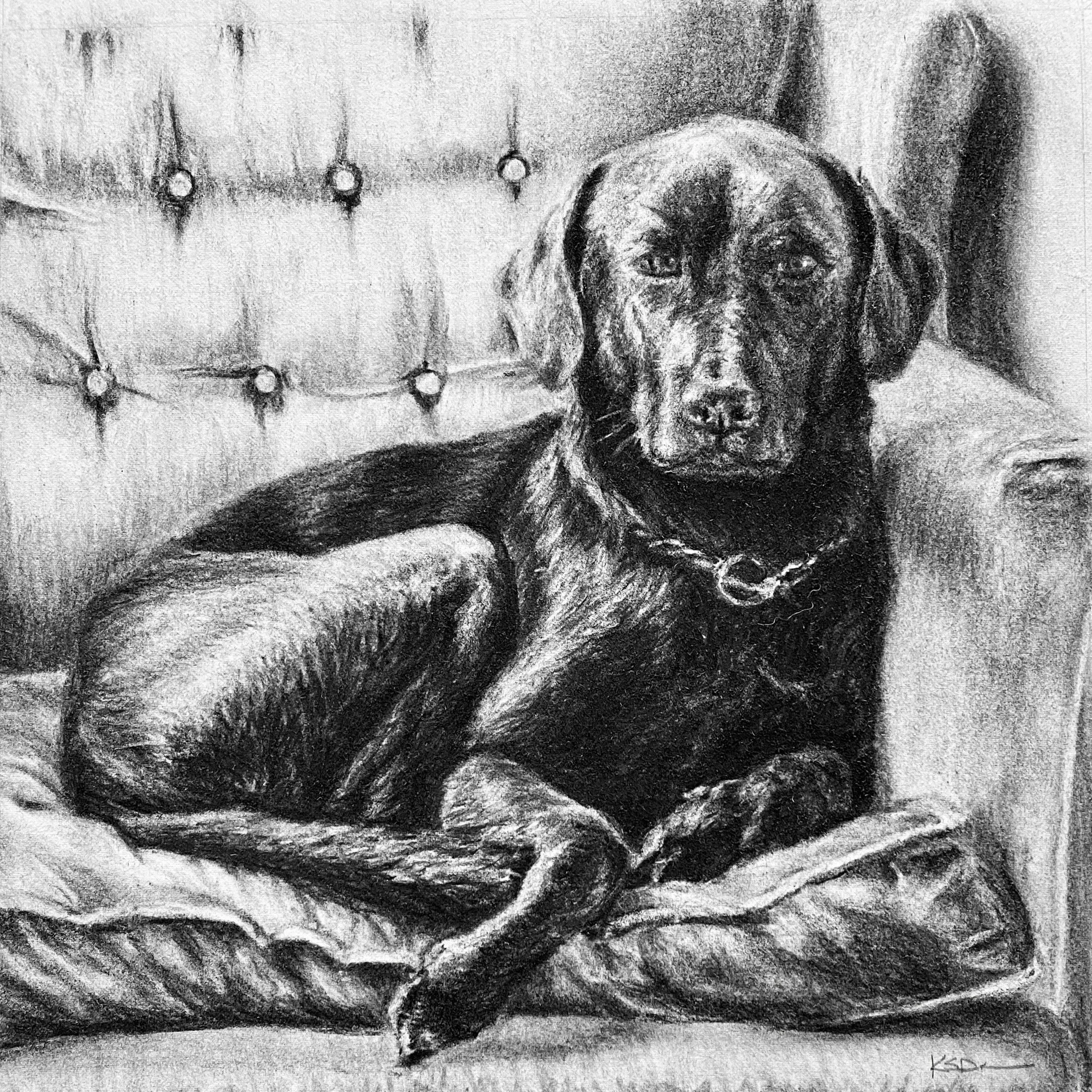 "Jezebel", Charcoal commission on Archival Paper, 12"x12"