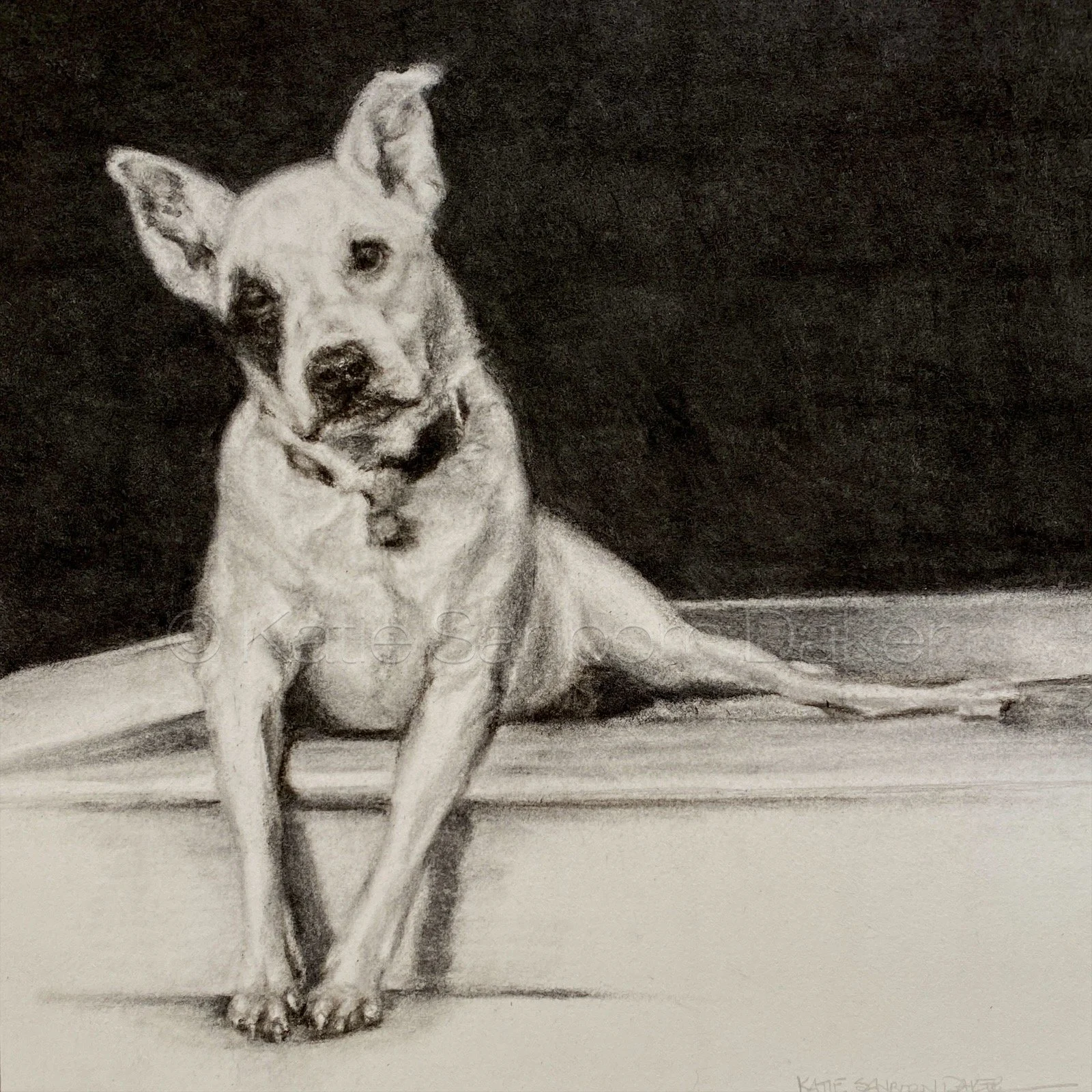 "Dexter": Charcoal commission on archival paper, 10"x10"
