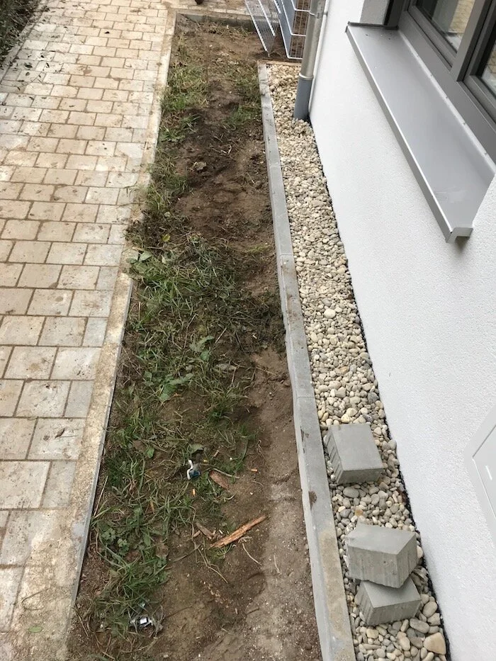 unbearbeitet_beet.jpg