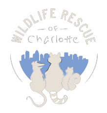 Wildlife Rescue of Charlotte