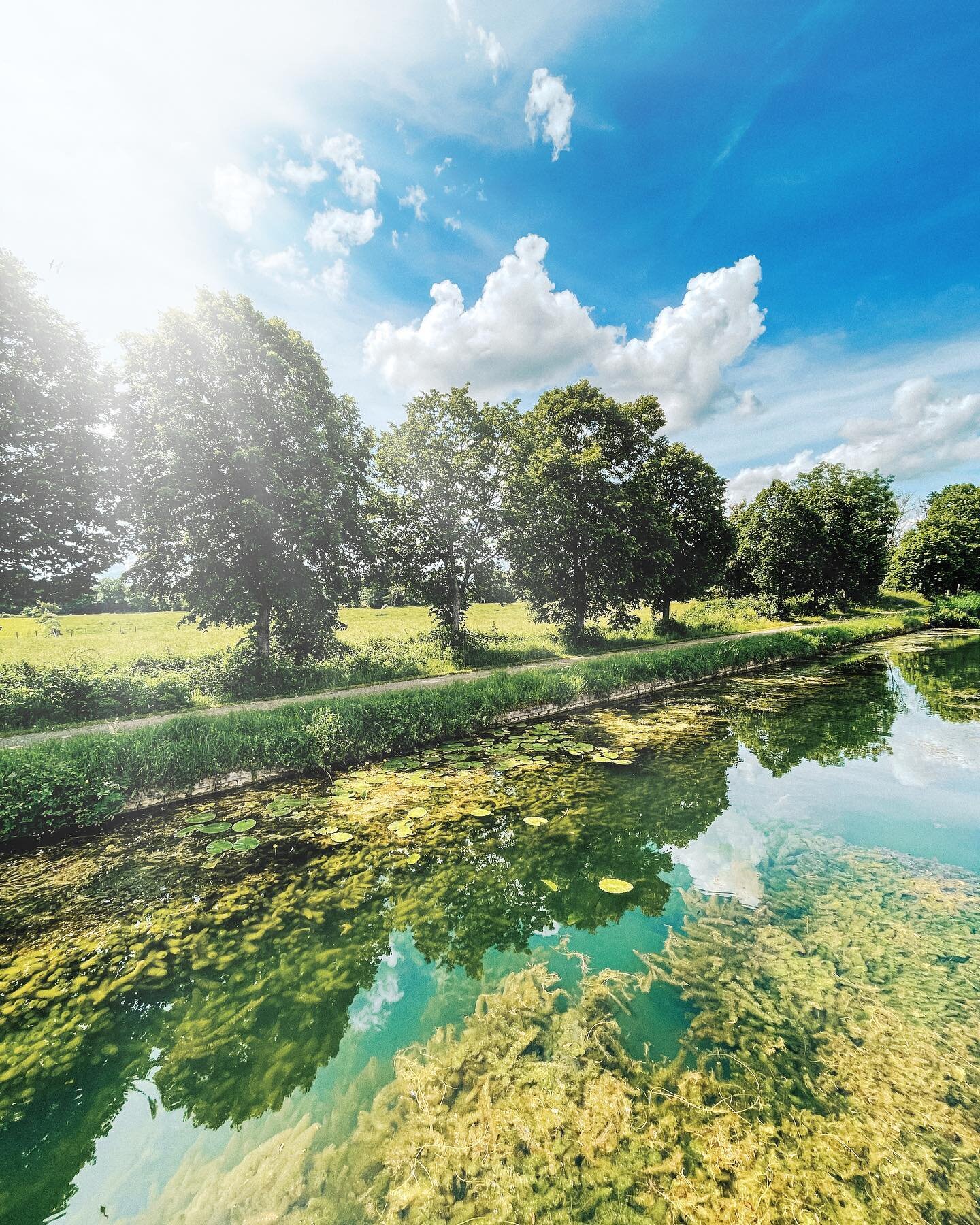 Water Forest
&bull;	
&bull; 
&bull; 
#visitburgundy #unlimitedplanet #agameoftones #beviusuallyinspired #frenchvisuals #shotsdelight #wanderluster #somewheremagazine #visualambassadors #unknownperspectives #mightydreamers #visualsofearth #moodygr