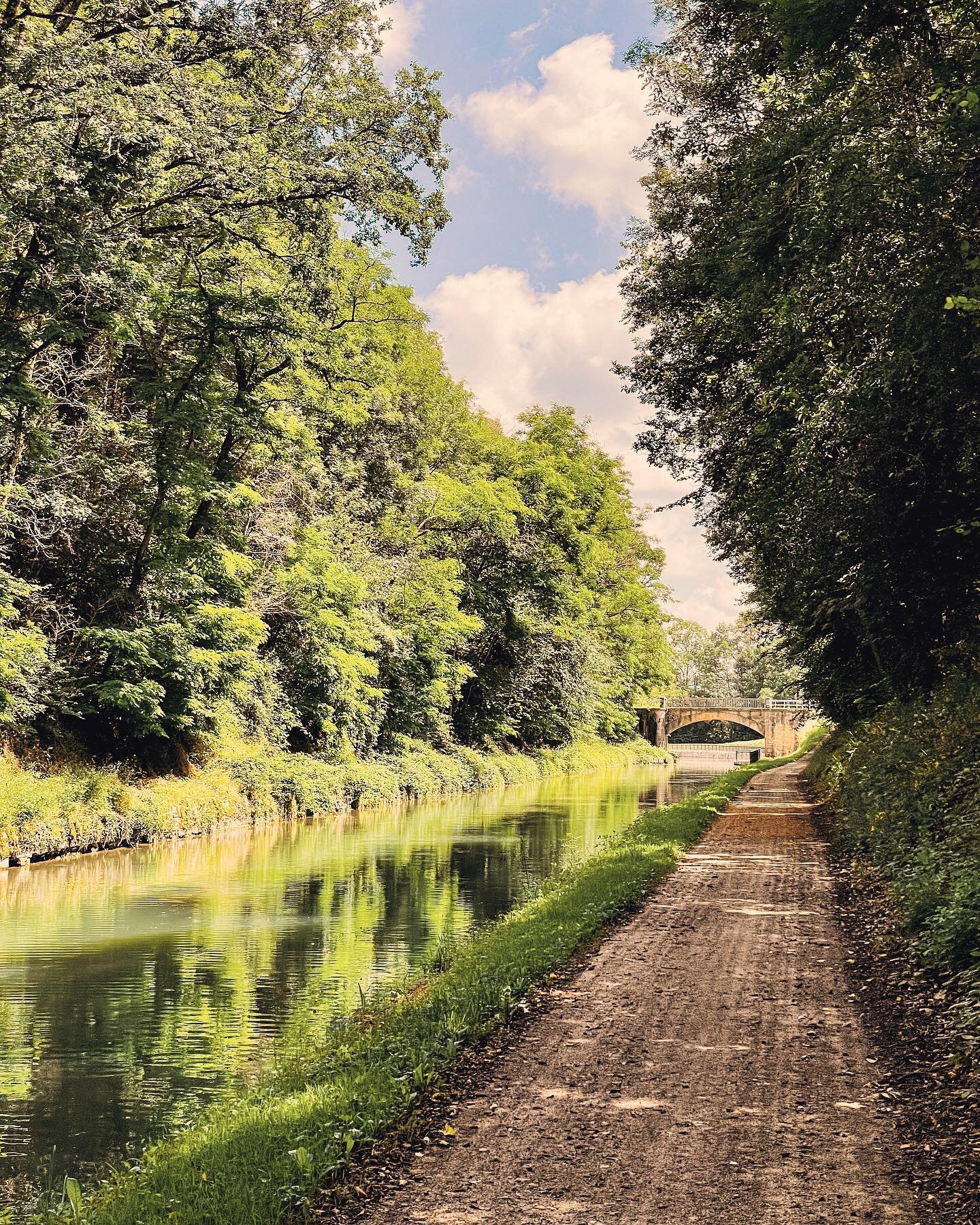 Tunnel of Green
&bull;	
&bull; 
&bull; 
#bevisuallyinspired #travelgram #europe #bigskies #europeancanals #frenchvisuals #luxurytravel #somewheremagazine #gobarging #visitburgundy #luxurybargecruise #france #burgundycanal #boatlife #thisismyoffice 