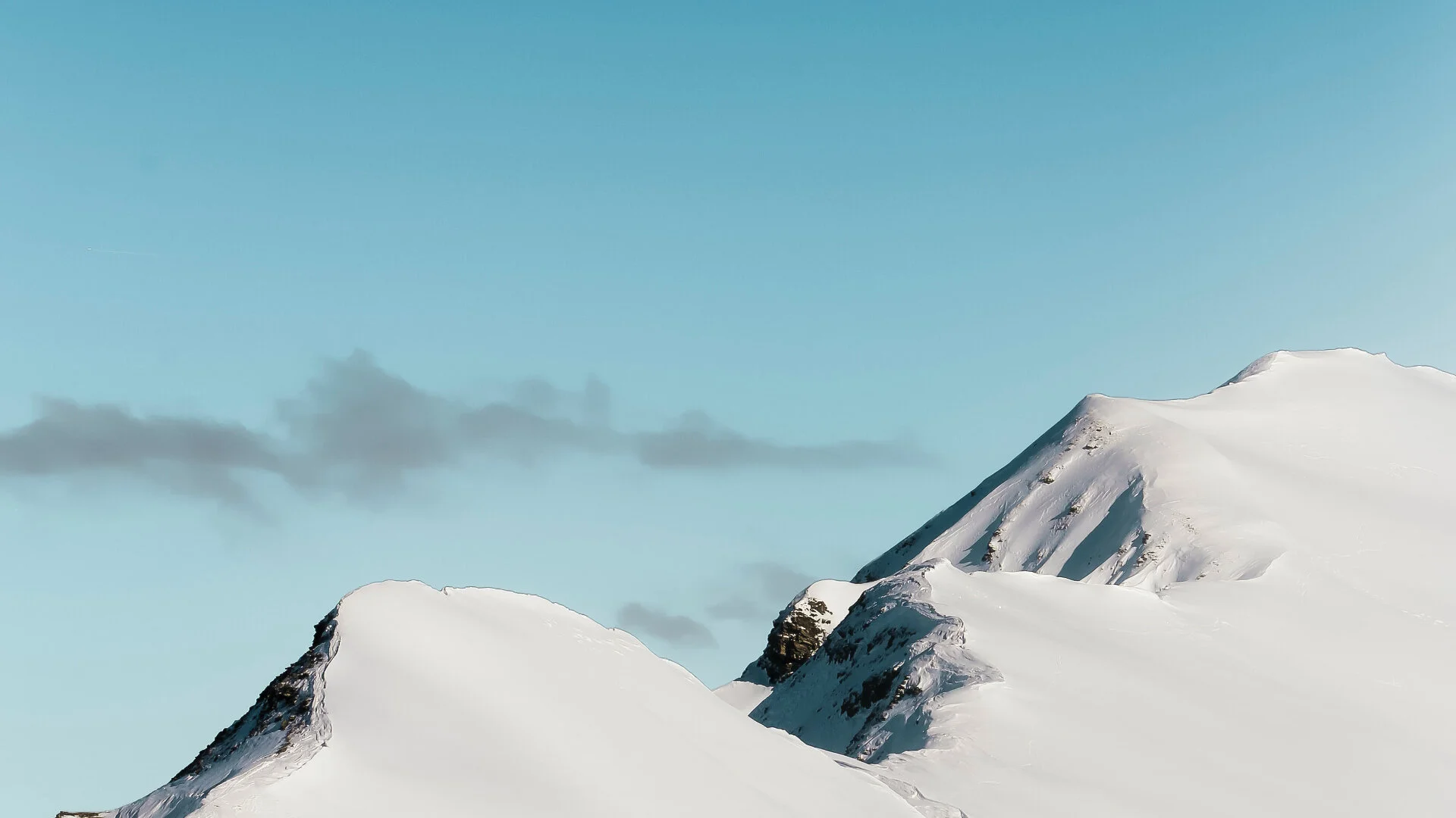 Header.jpg