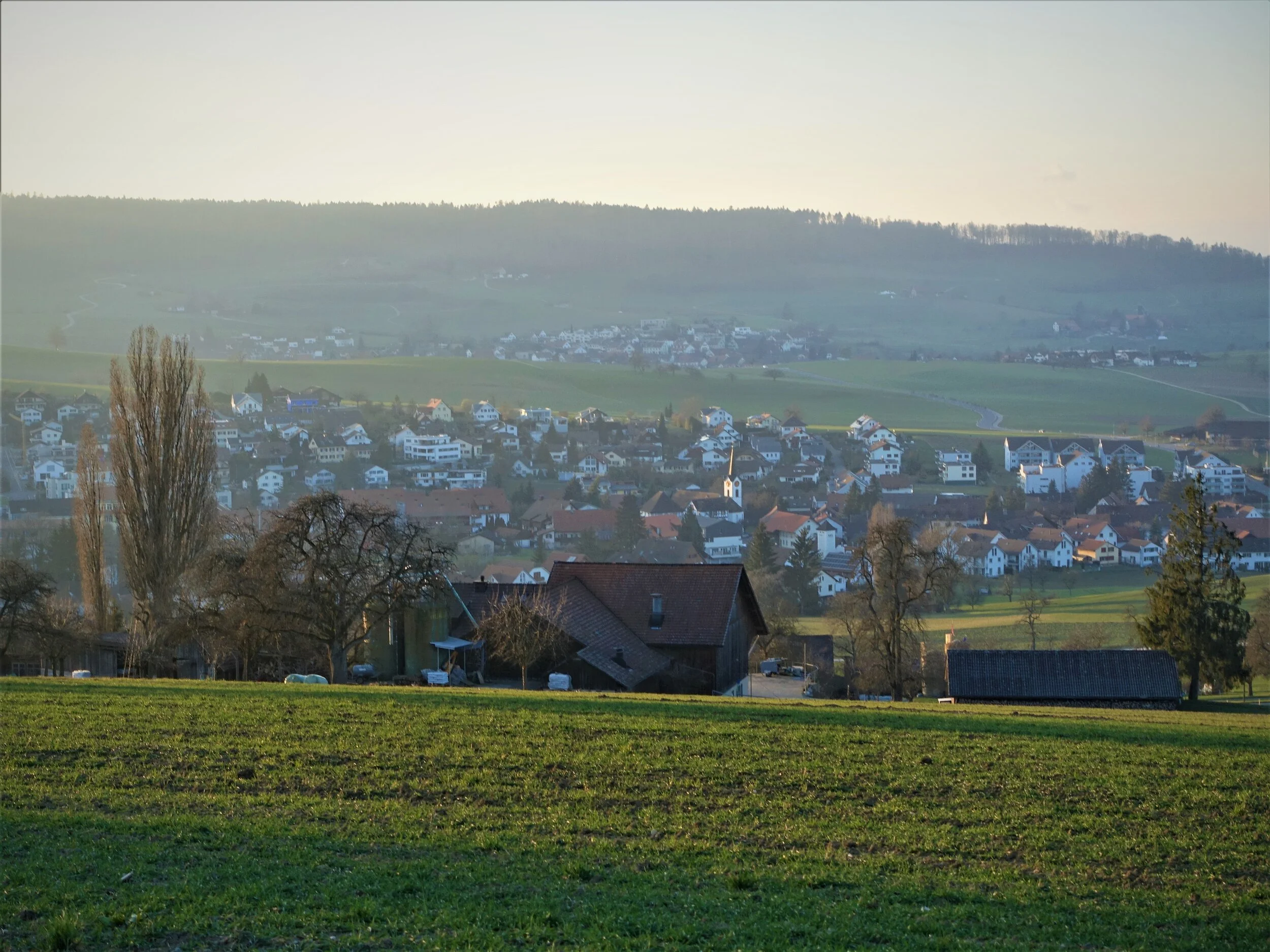 Dorfmitte_petition_und_jetzt_gemeinde_ehrendingen_forum_5420.jpg