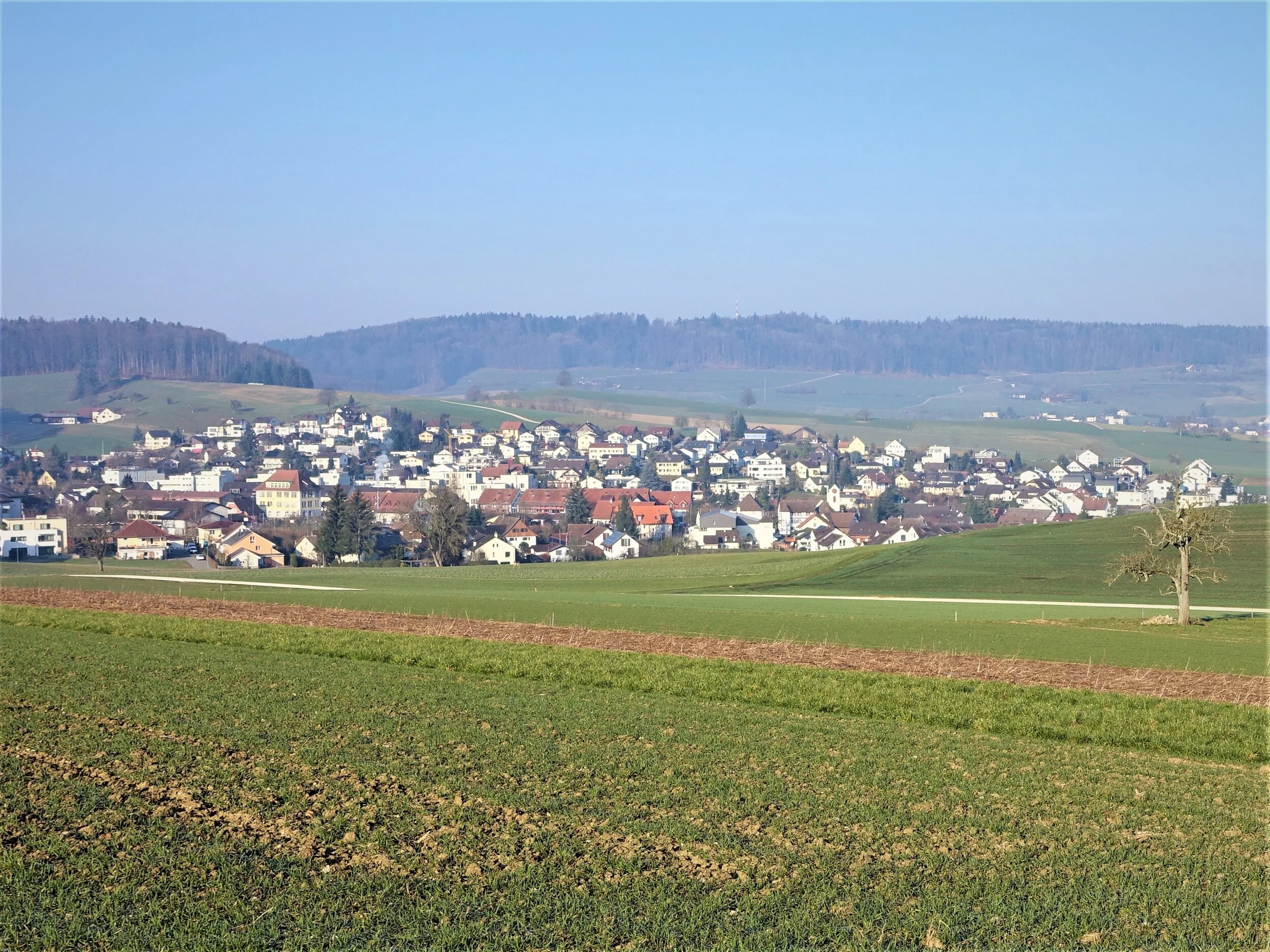 Oberdorf_Ehrendingen_Petition_und_jetzt_forum_5420_gemeinde.jpg