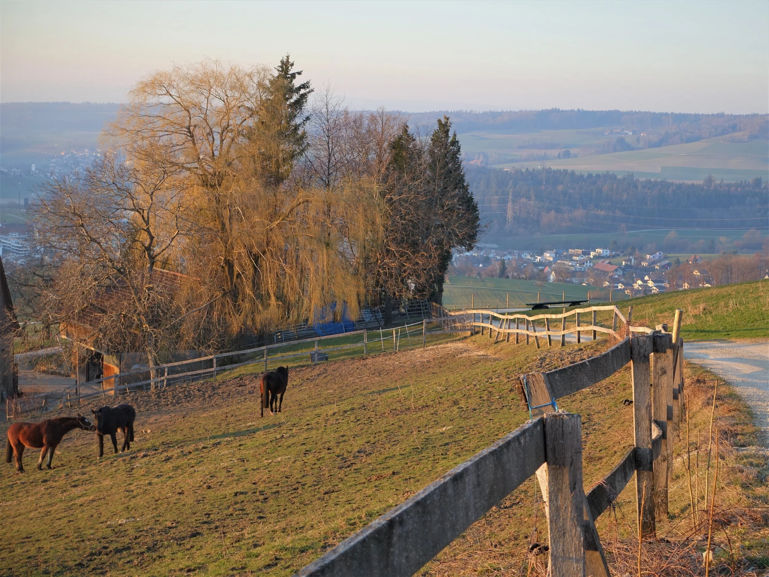 Dorf_im Grünen_DSC05640.jpg