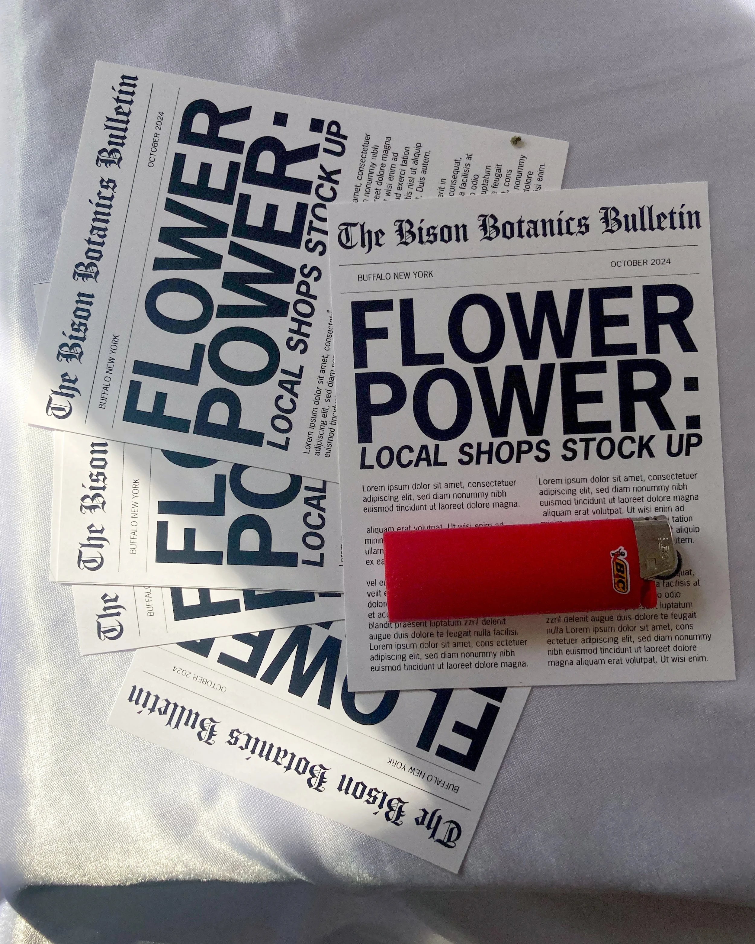 20241008_150007046_iOS (1).jpg