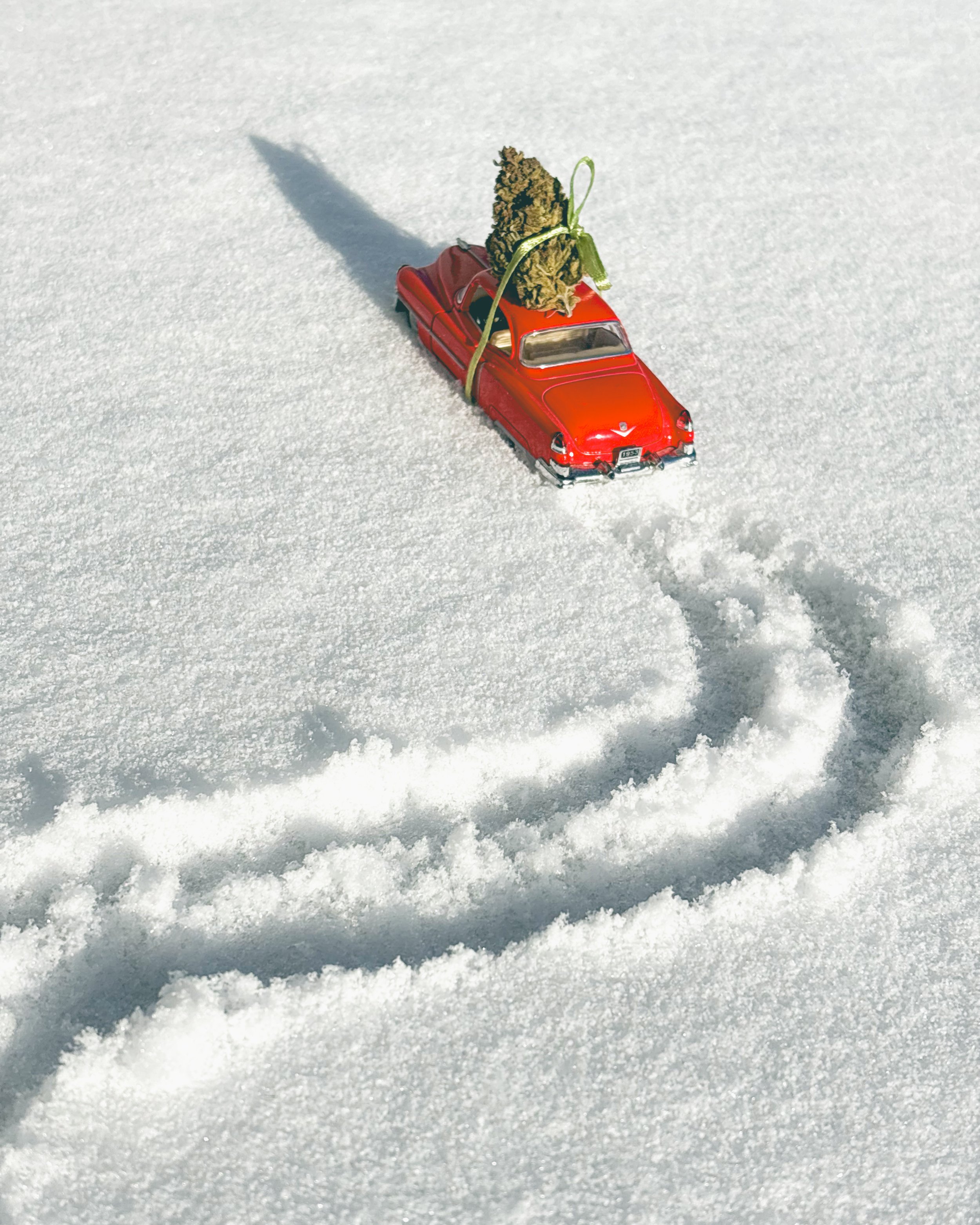 20251211_152606190_iOS (1).jpg