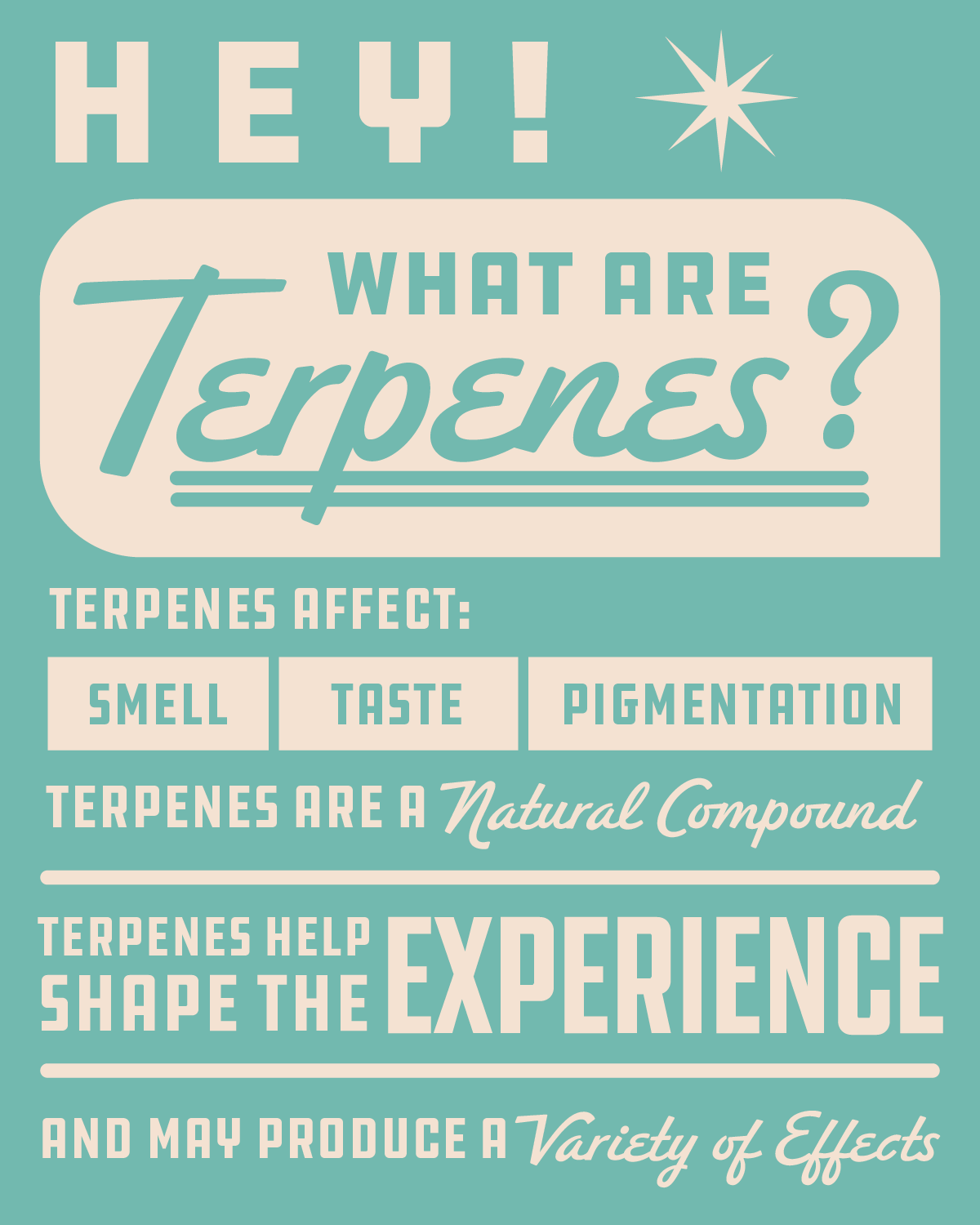 Educational Post-05.png