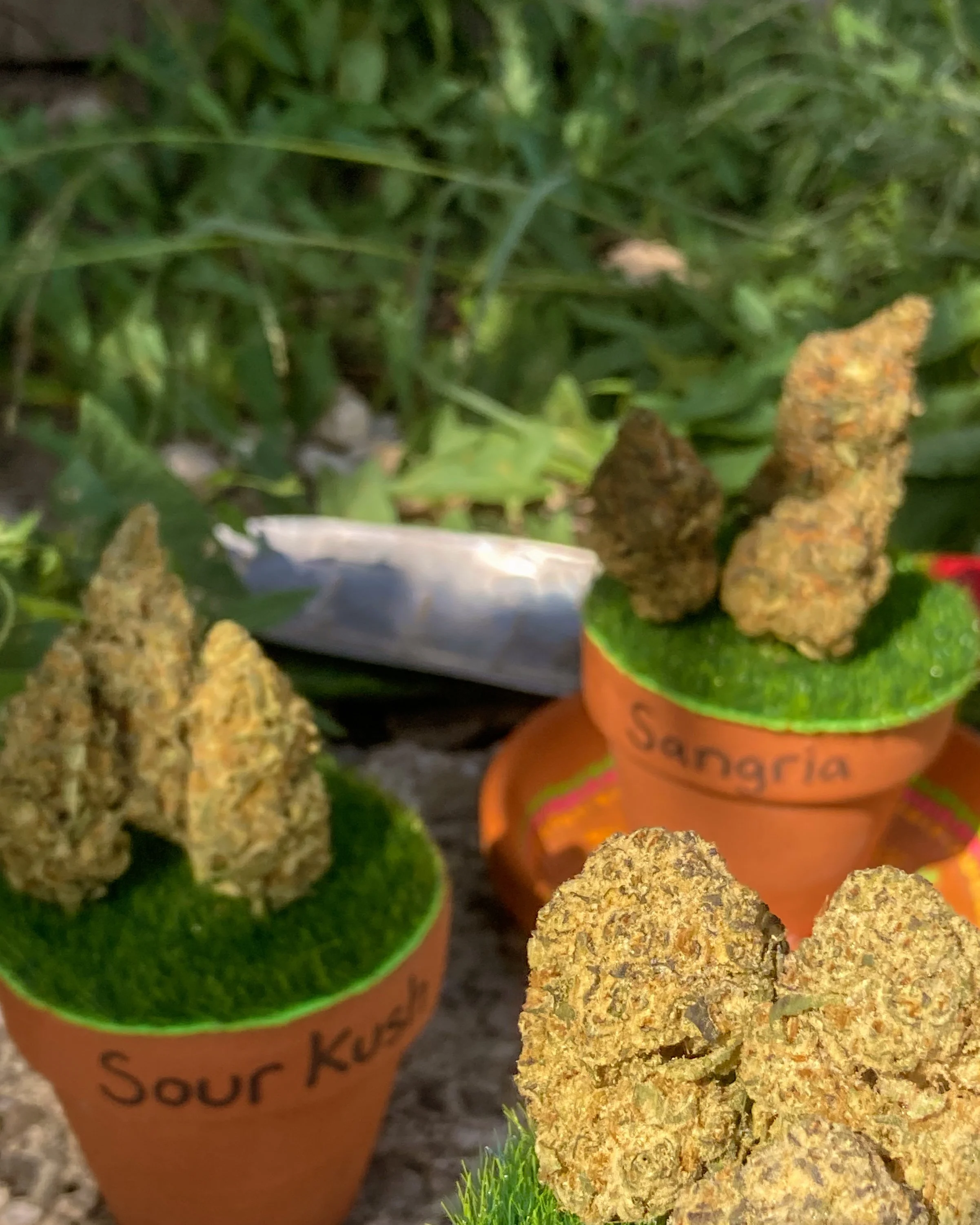 20240919_191507170_iOS (2).jpg