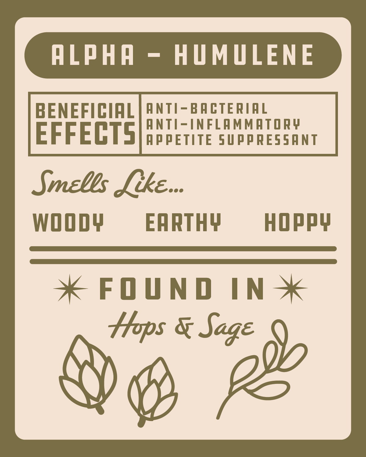 Educational Post-03.png