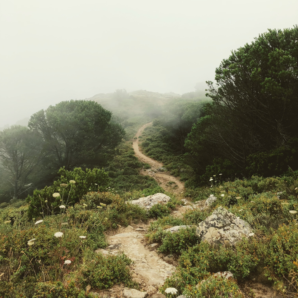 Recovery and Lord of the Rings