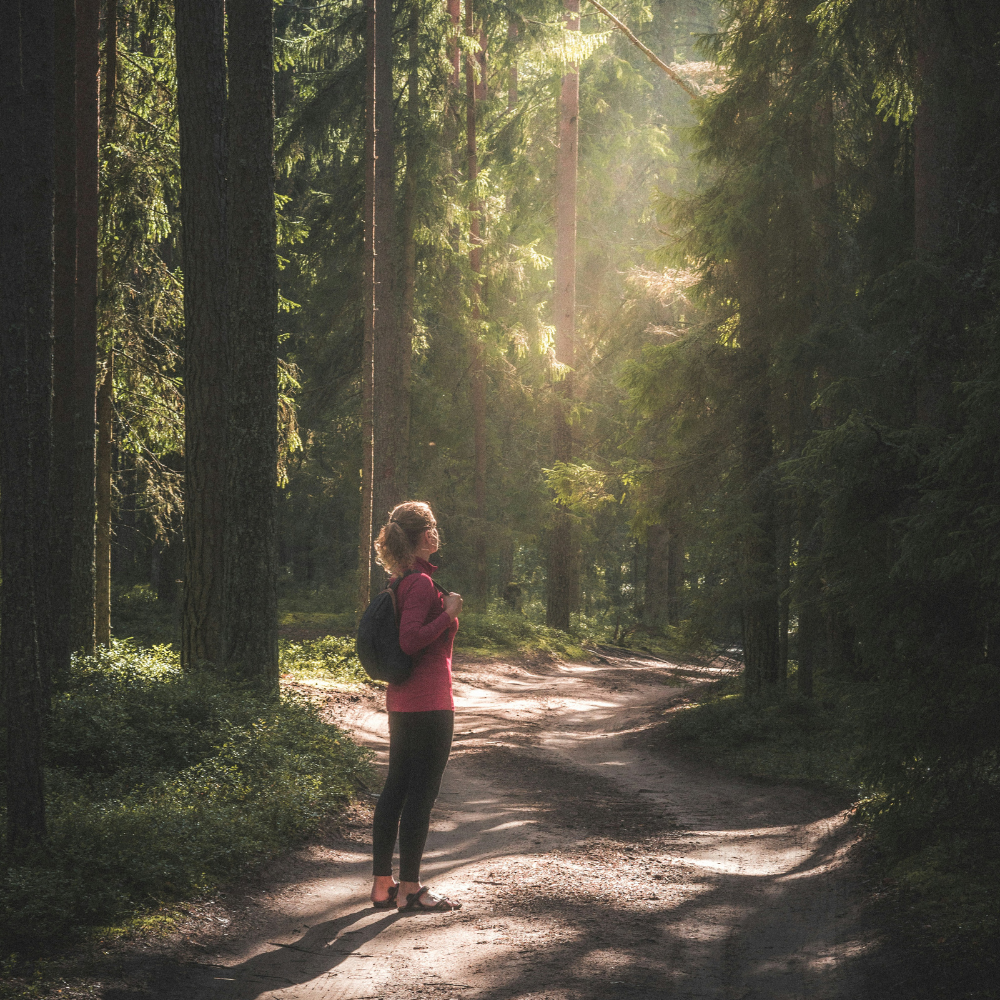 Healing is a Journey, Not an Isolated Event