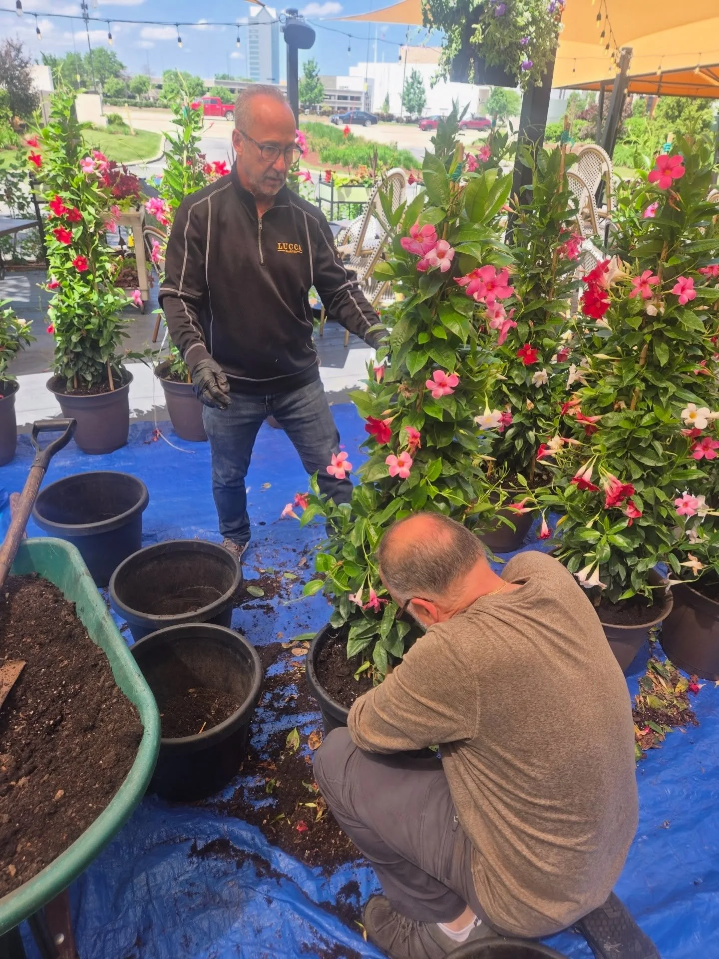 Steven and Chef Claudio up to their elbows in dirt bringing the summer patio to life! Teamwork makes the dream work 🌺