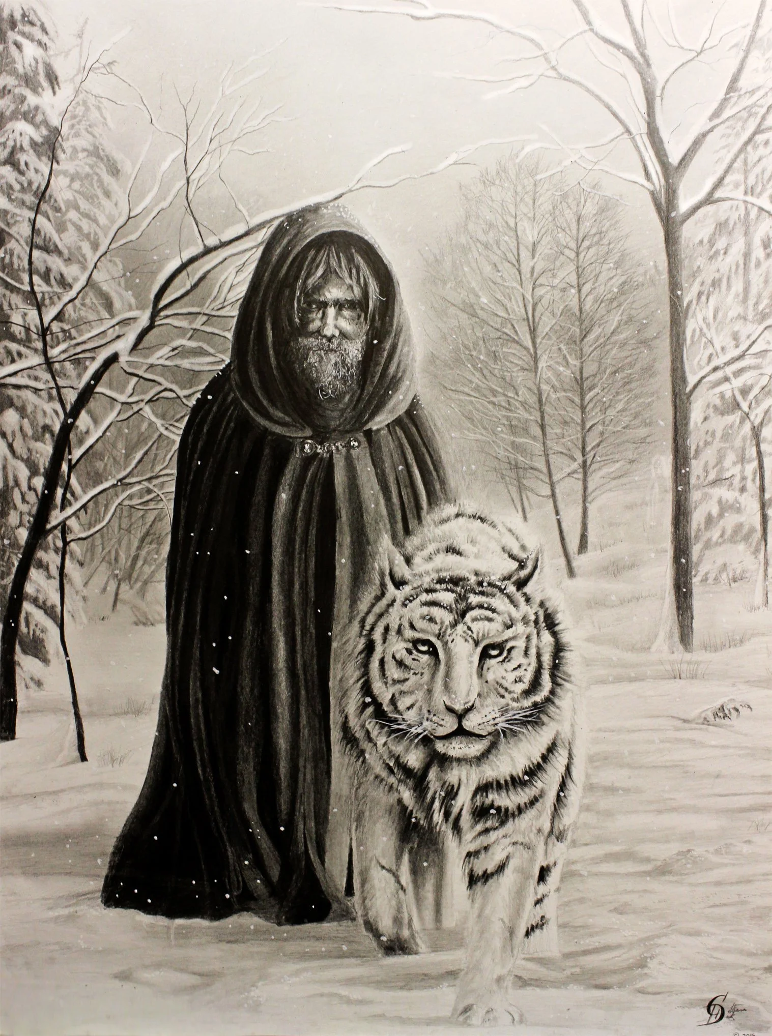 Fiere Wisdom - 24" x 18" pencil on paper 2013