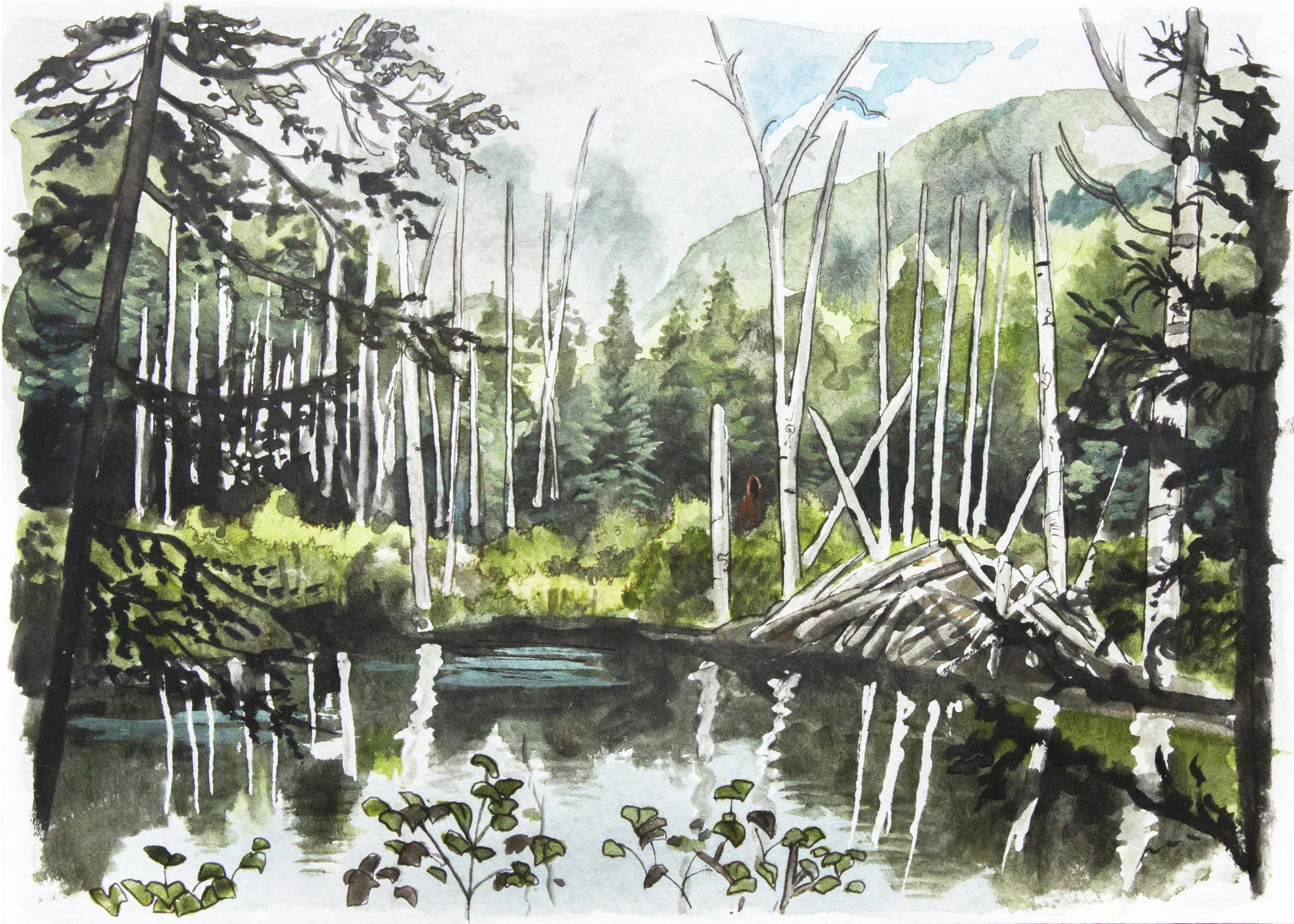 Swamp in Charlevoix - 5" x 7" watercolor on paper 2020