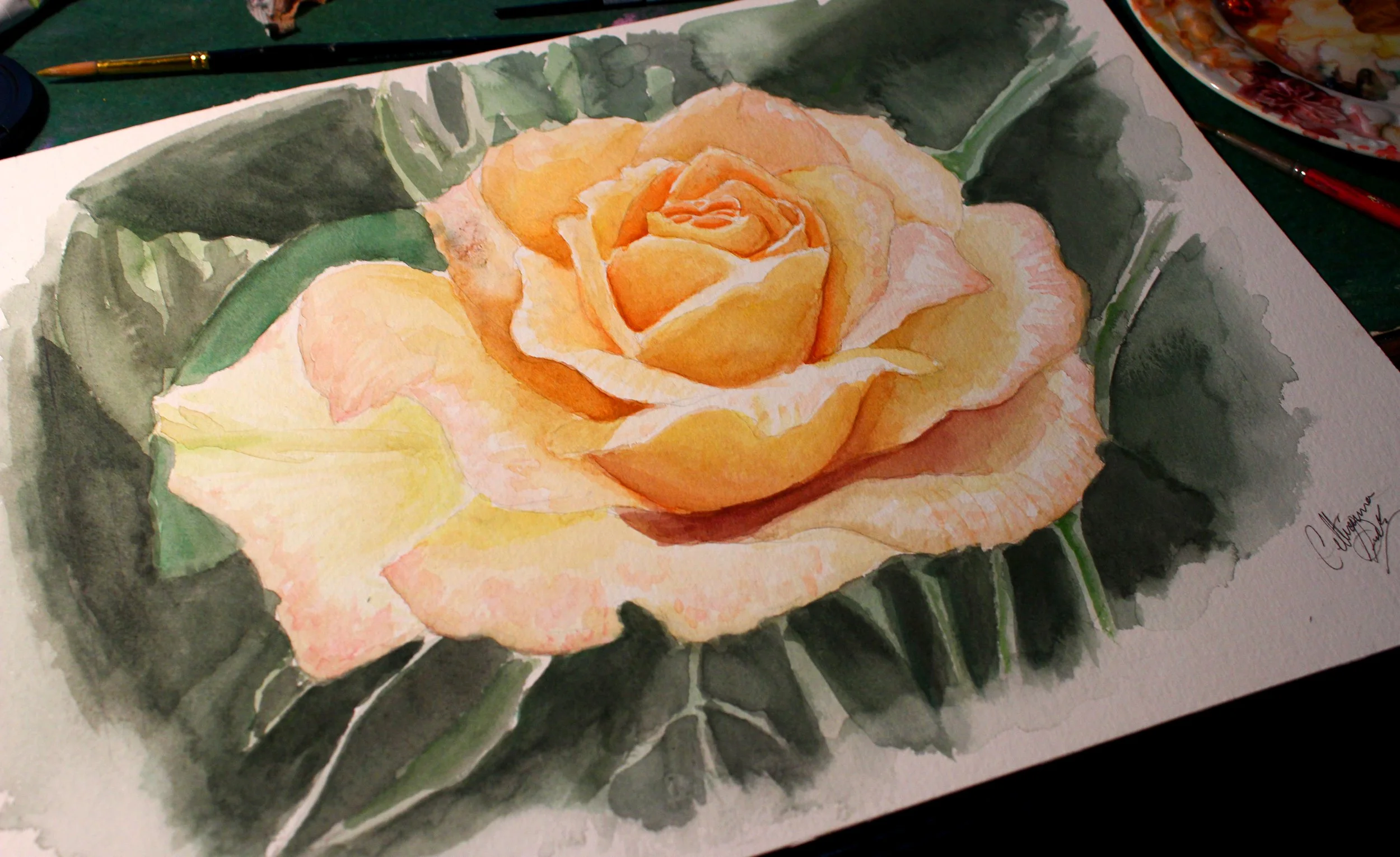 Yellow Rose - 12" x 14" watercolour on paper 2012