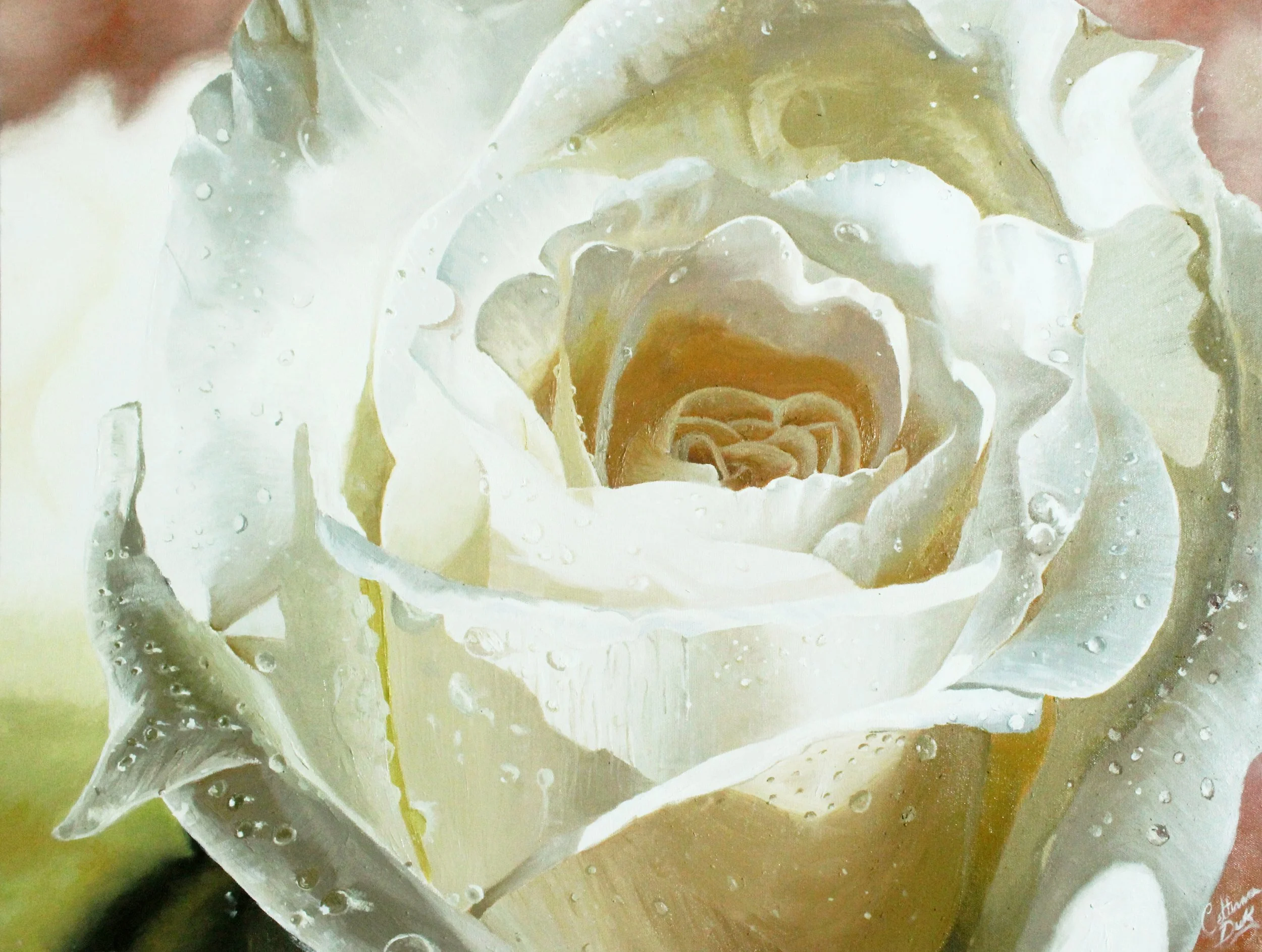 White Rose Commission - 24" x 30" oil on canvas 2012
