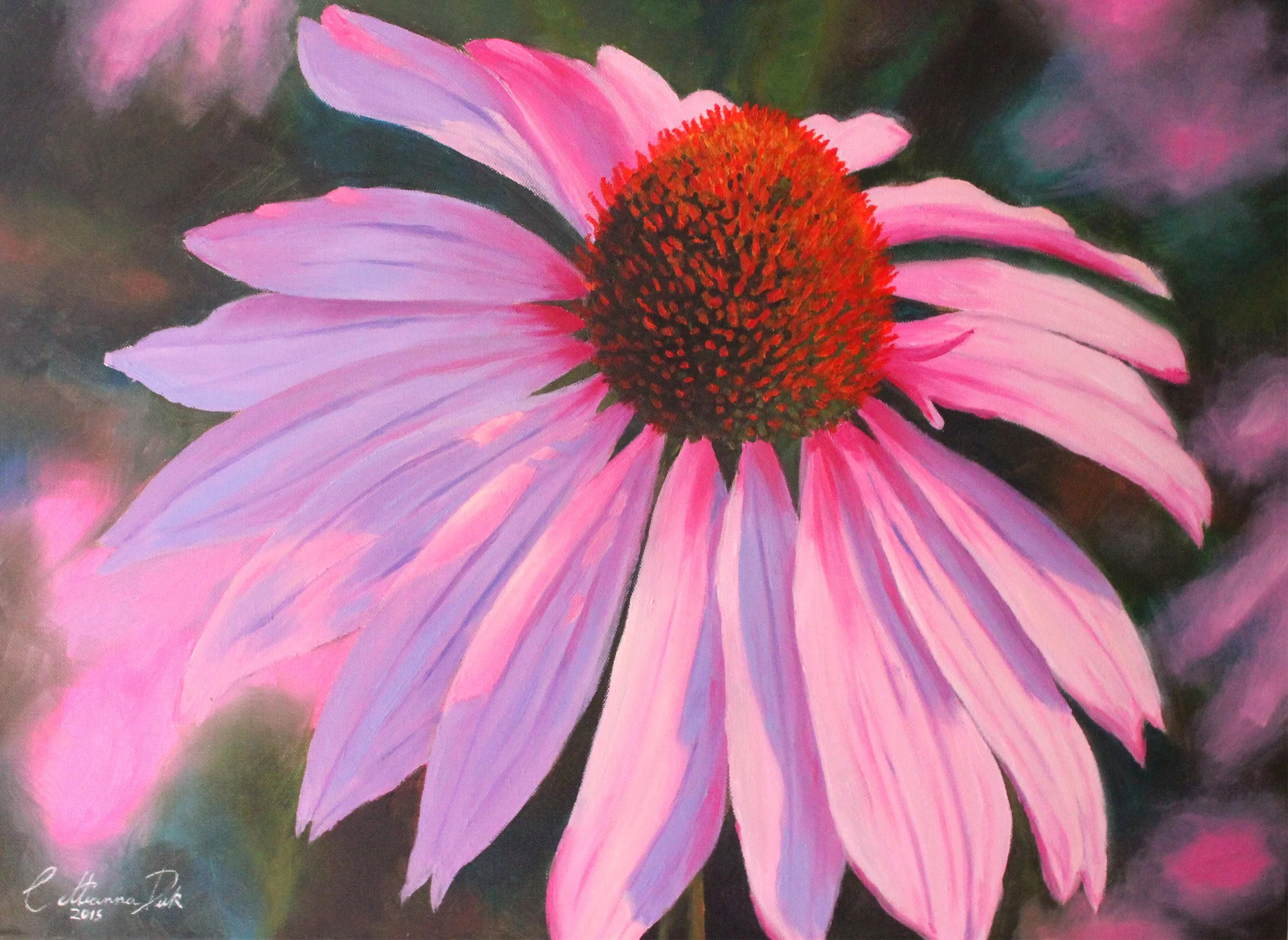 Echinacea - 16" x 20" oil on canvas 2015