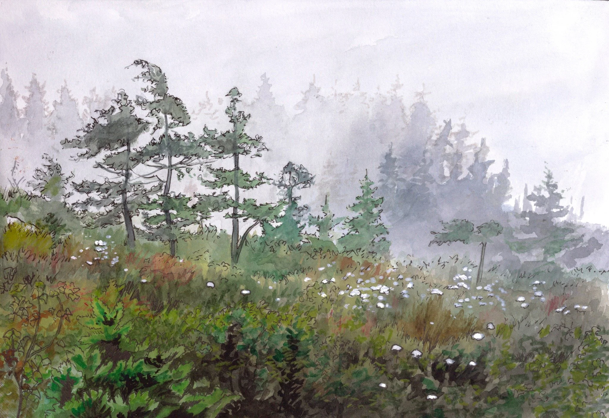 Sugar Loaf Trail - 8" x 10" watercolor on paper 2021