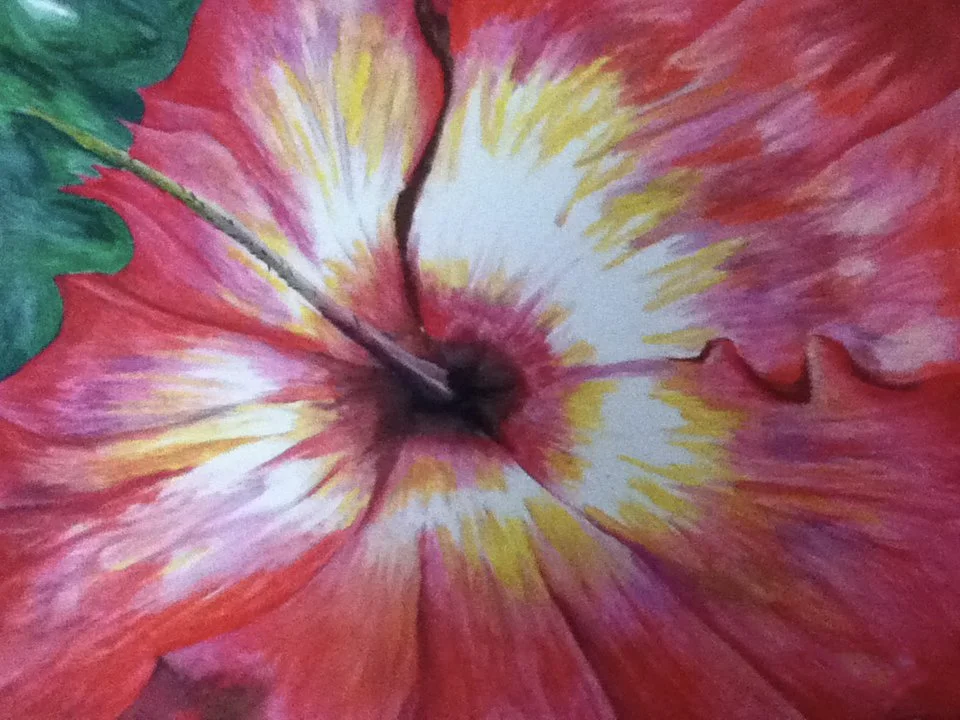 Hibiscus - 24" x 30" pastel on paper 2009
