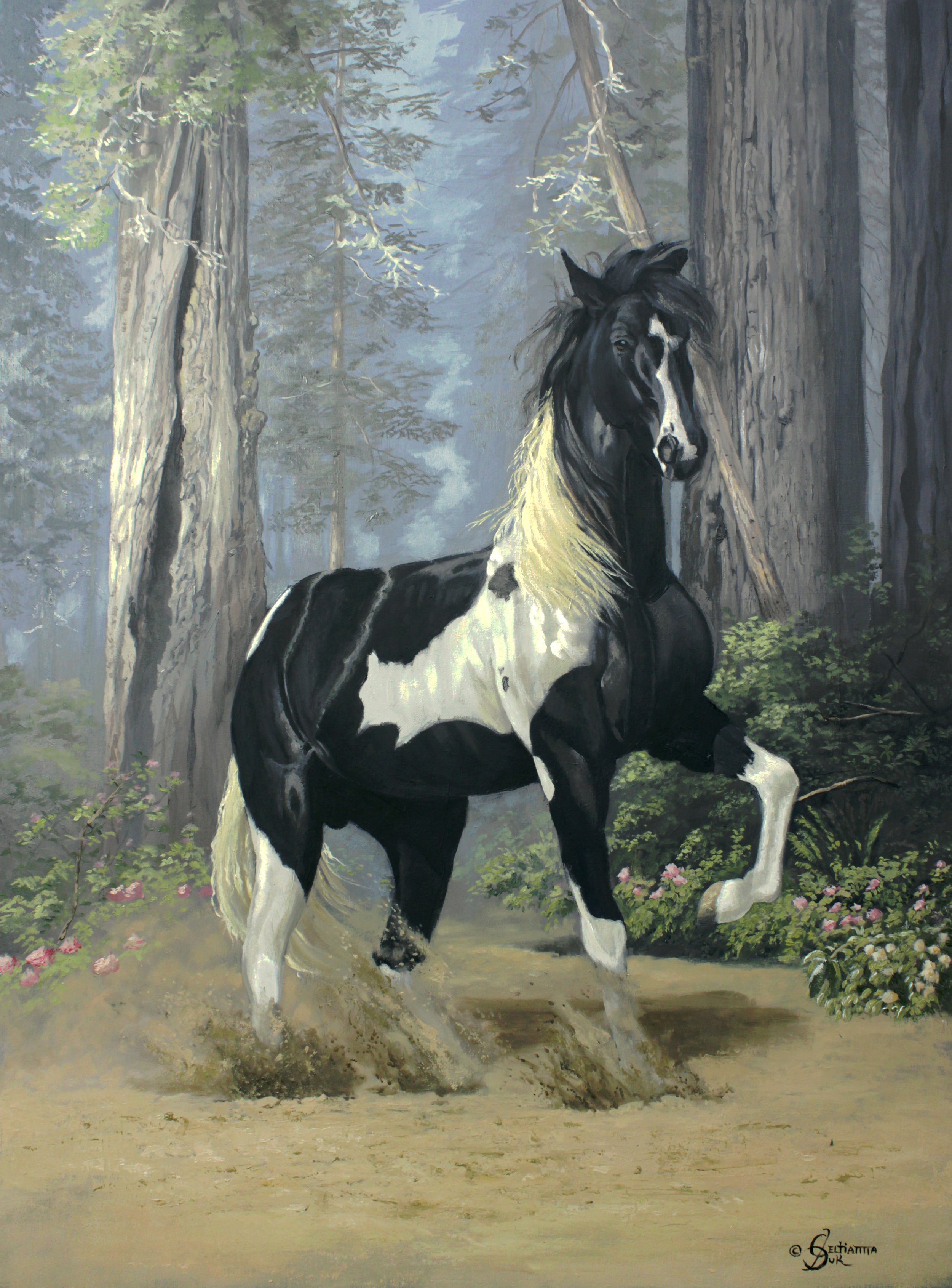 Carter - 20" x 16" oil on canvas 2018