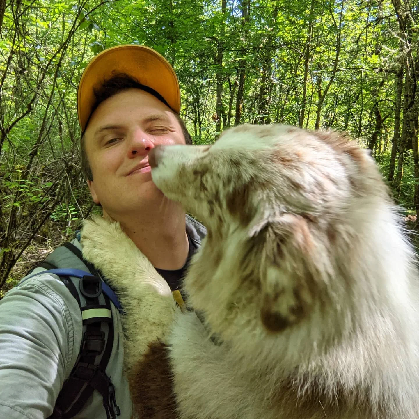 Lick attacks are one of the biggest hazards of my job.

📍On the traditional land of the Cowlitz tribe. 
.
.
.
.
.
.
.
.
.
#packharmony #pdxdogtrainer #dogsofinstagram #adventuredog #dogtrainer #positivetrainer #clickertraining #exploringwithdogs #ad