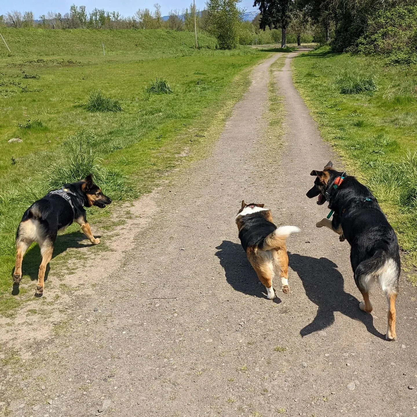 Joy is sunshine and open trail.
.
.
.
.
.
.
.
.
.
.