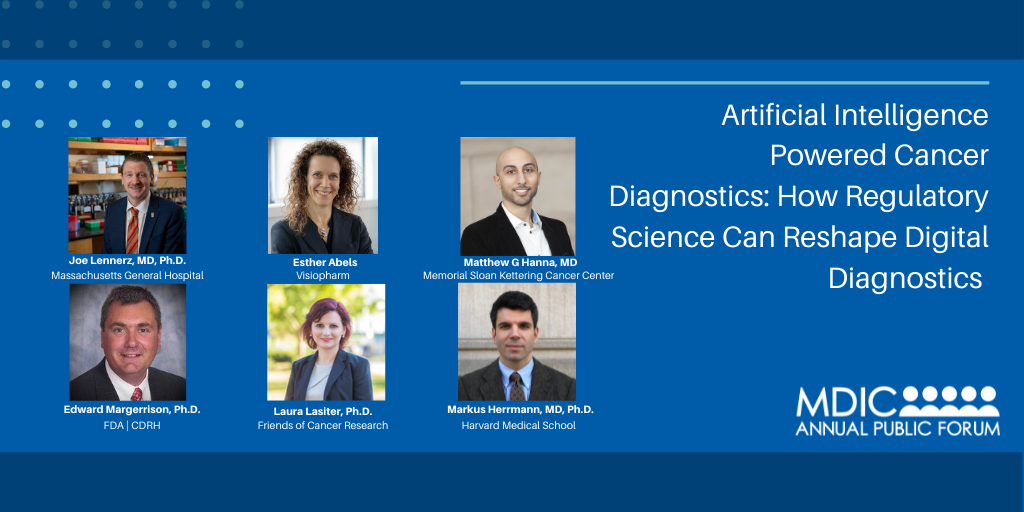 MDIC Annual Public Forum