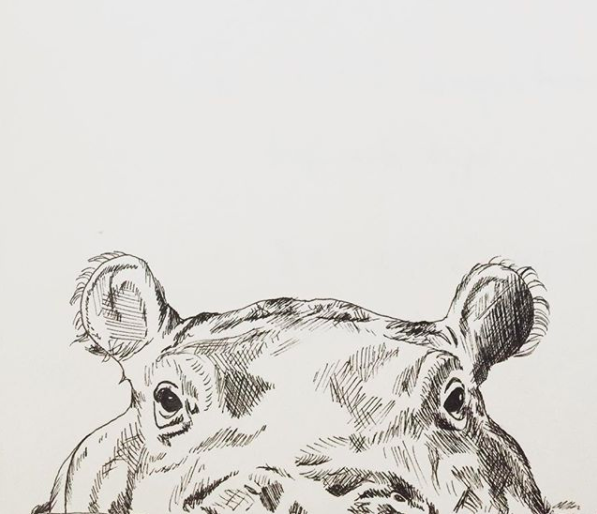 Screen Shot 2018-01-02 at 1.08.21 AM.png