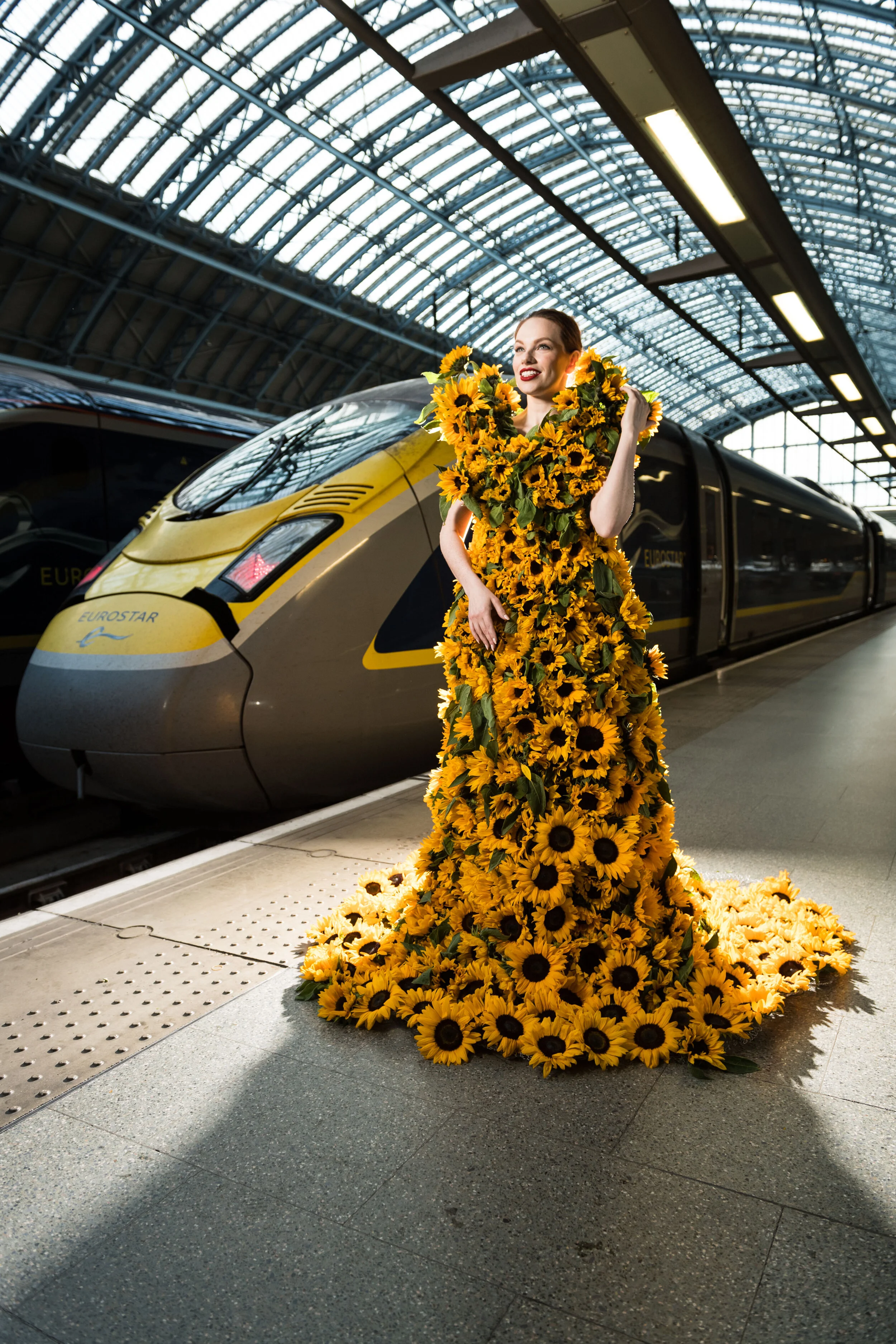 Eurostar_Sunflowers_3649.jpg
