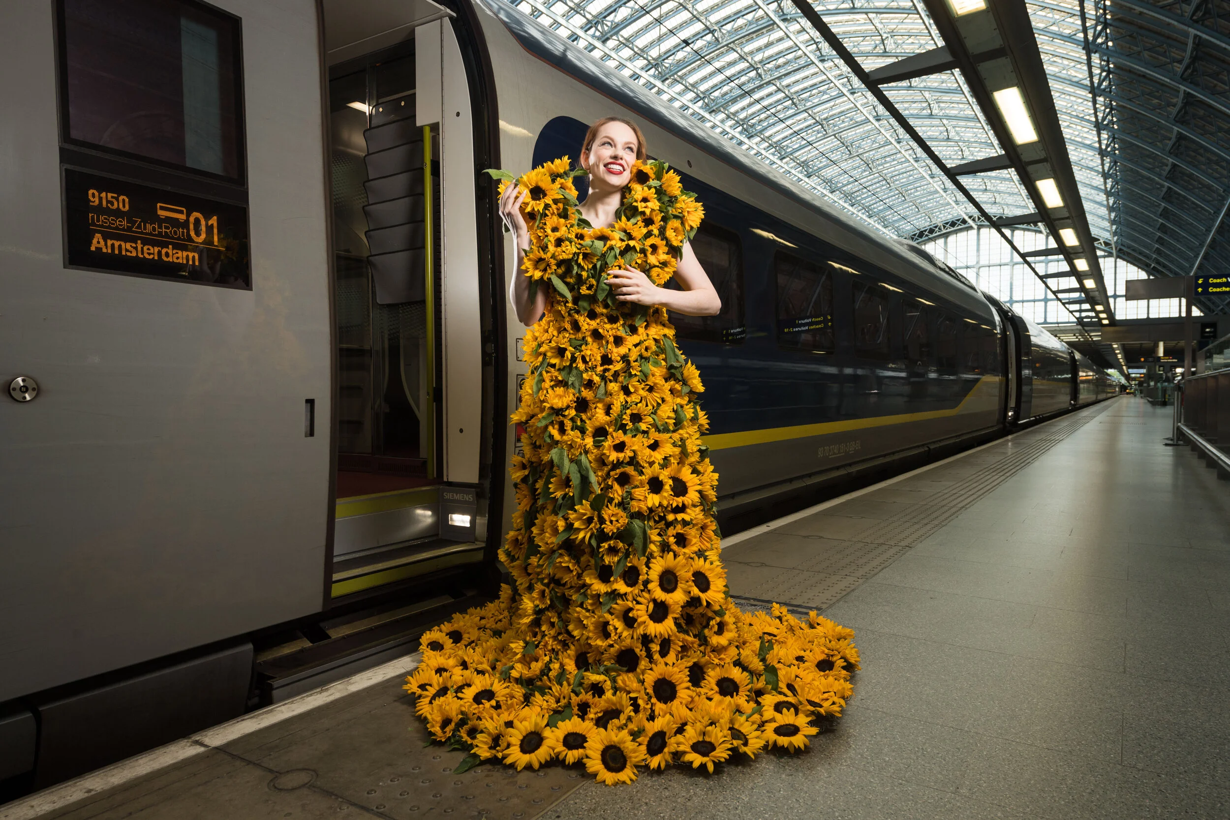 Eurostar_Sunflowers_7238.jpg