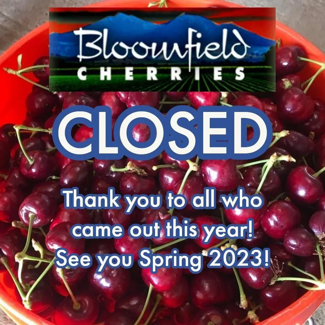 Brentwood Fruit Picking Calendar 2023 Kmkys9Kjzhikgm