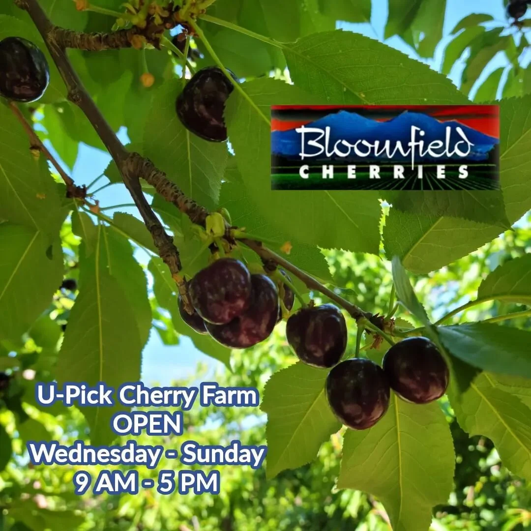 Brentwood Fruit Picking Calendar 2023 Kmkys9Kjzhikgm