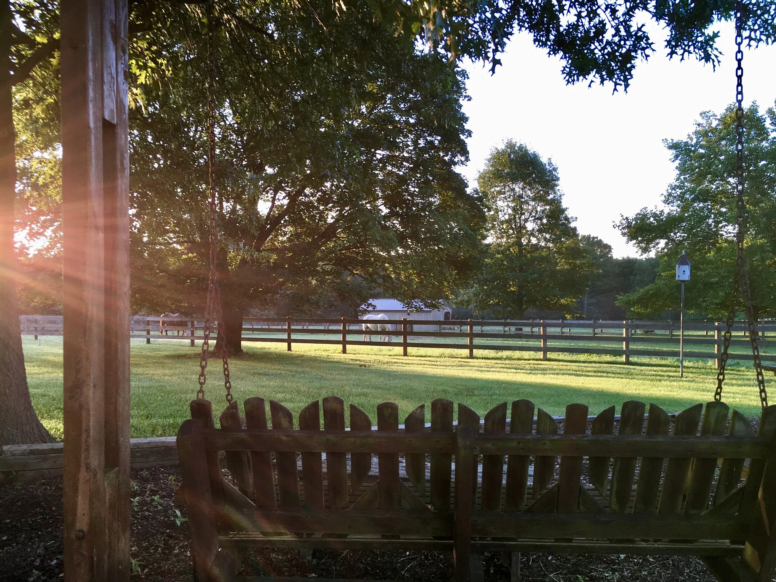 Gracefield Counseling