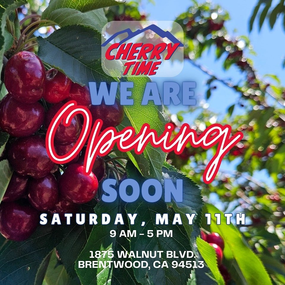 🎉Opening Weekend🎉
Saturday, May 11th - Sunday, May 12th
9 AM - 5 PM

📍1875 Walnut Blvd, Brentwood CA 94513

🍒$4.00 per pound - Cash Only
🍒Picking Royal Tiogas
🍒 No Entry Fees - Pay for what you pick.
🍒No Animals or picnics
🍒Entrance closes at