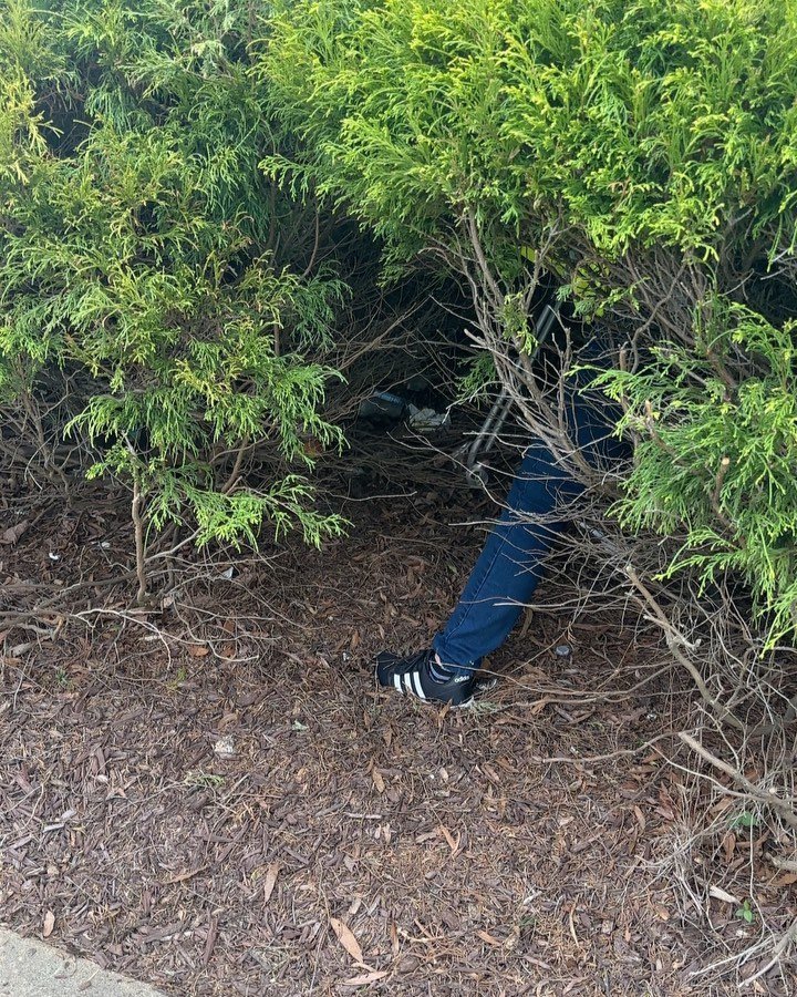 🌏 HAPPY EARTH DAY 🌎 

How will you celebrate Earth Day? We celebrated by crawling into Bojangles&rsquo; bushes and pulling out nearly 200lbs of litter!

Plant a tree? Recycle? Pick up some litter? Whatever actions you take are needed more now than 