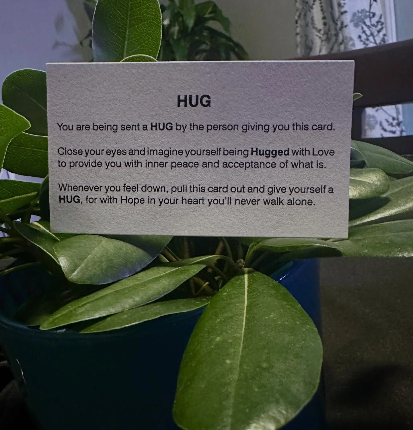 Yesterday after our cleanup with the residents of Springmoor Retirement Community, I was handed this card by Mr Joe!
I was super grateful and now it lives in my wallet forever. I could print out more but instead, screen shot this and send it to some
