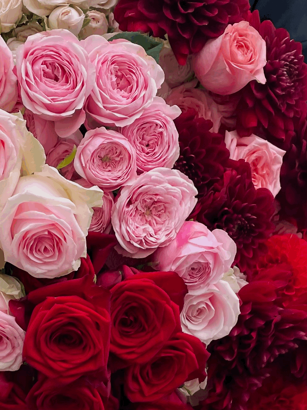 VALENTINES bouquet - Rose Romance  - COLLECTION FRIDAY 13TH 11-5 OR SATURDAY 14TH FEB 10-5