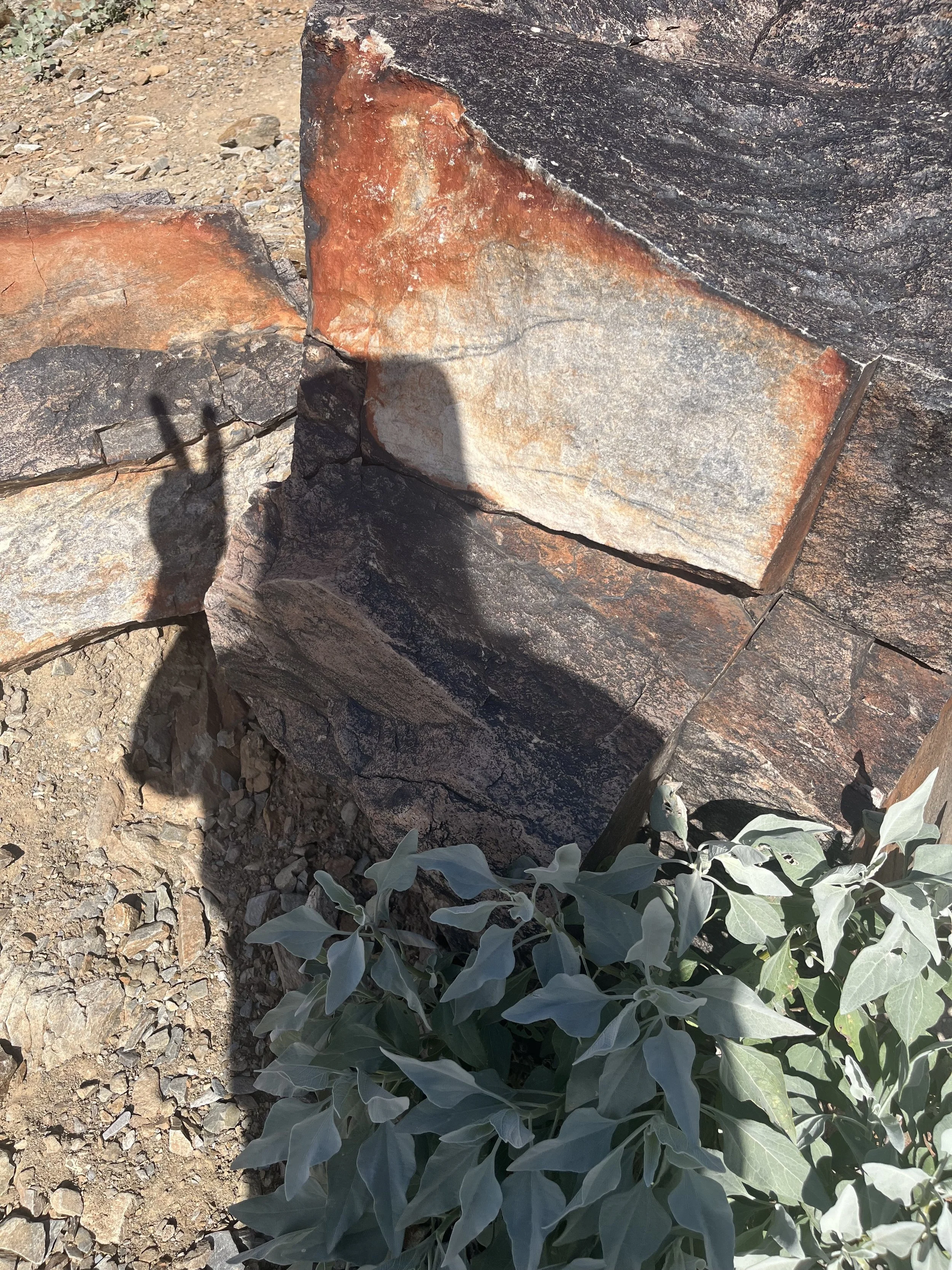 peace sign shadow on desert rock and sage