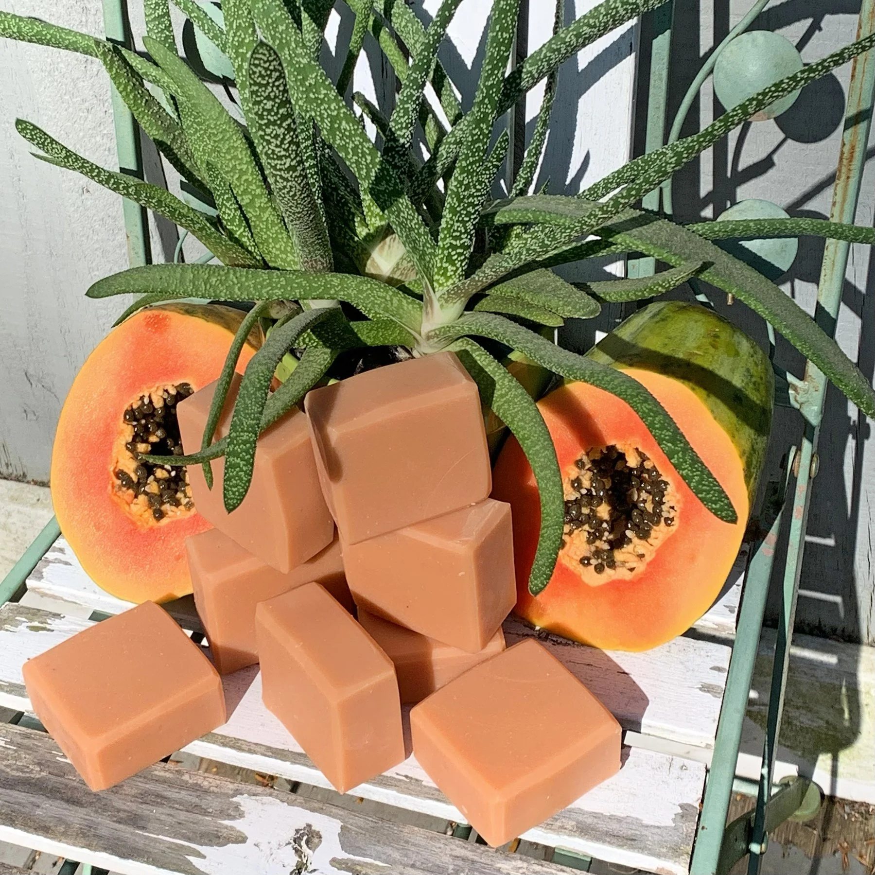 maine_botanical soaps_papaya_aloe_1.jpg