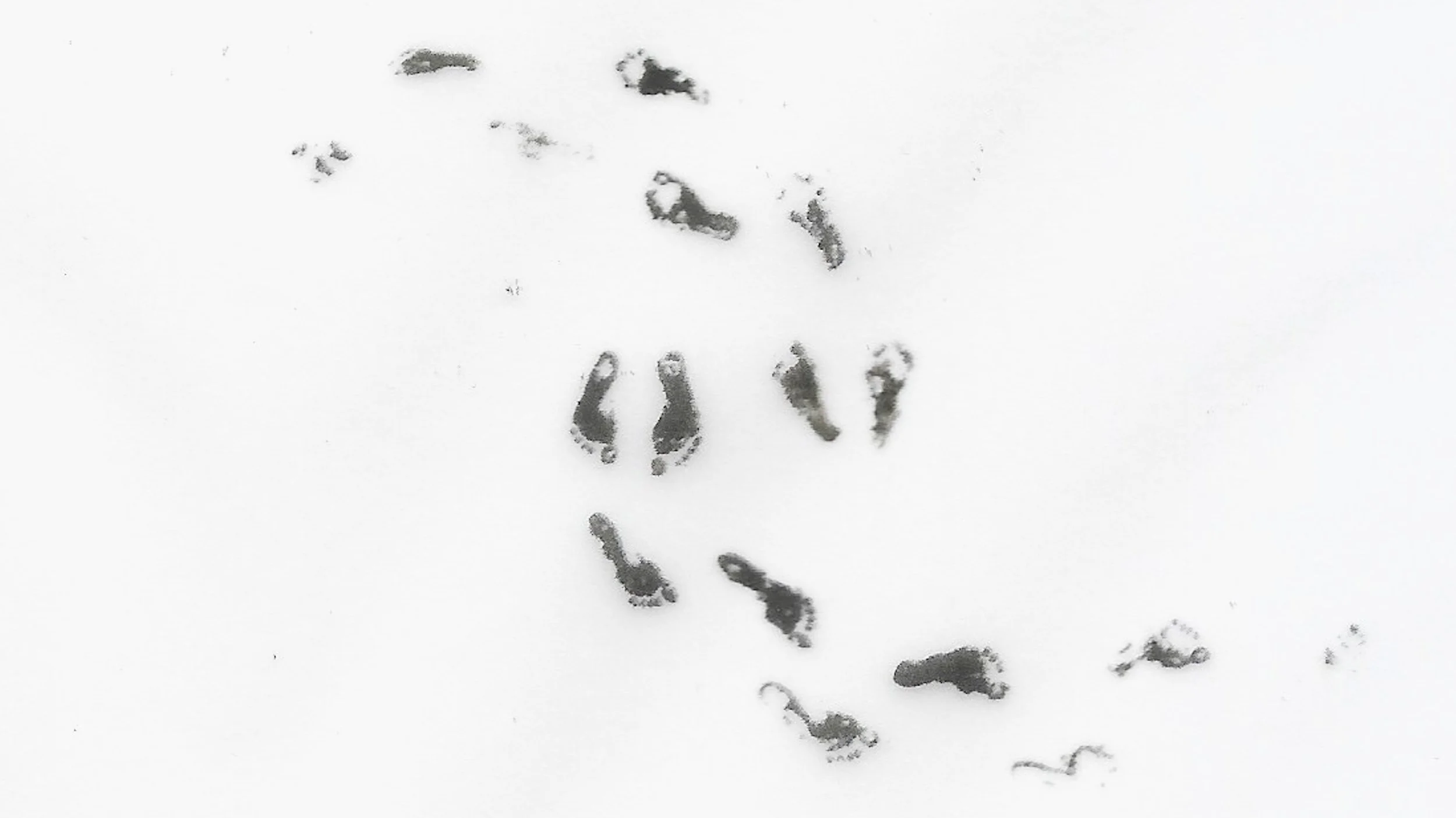 frank_dao_V3_12fps.mov.00_00_10_00.Still002 copy.jpg