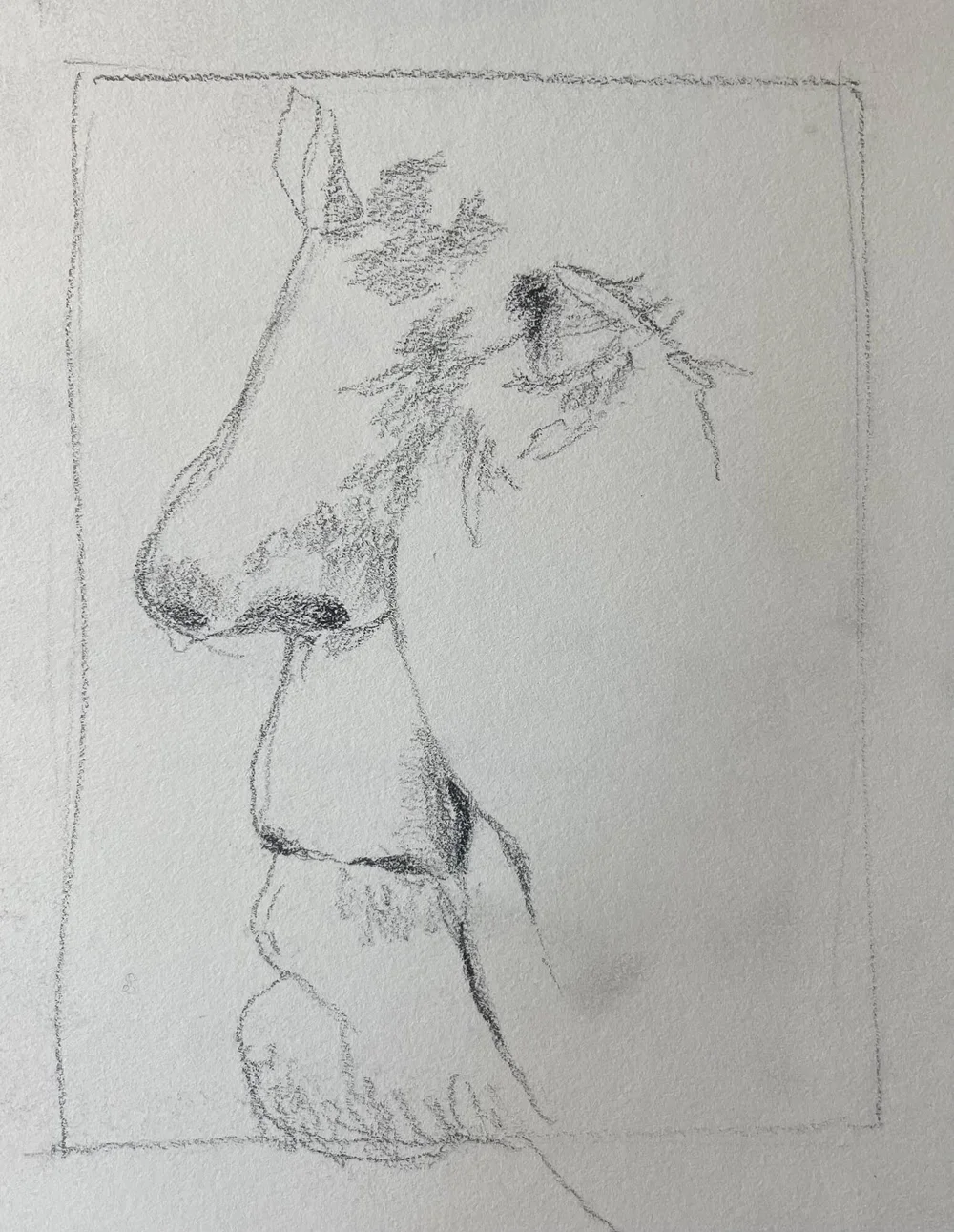 gallery4.jpeg